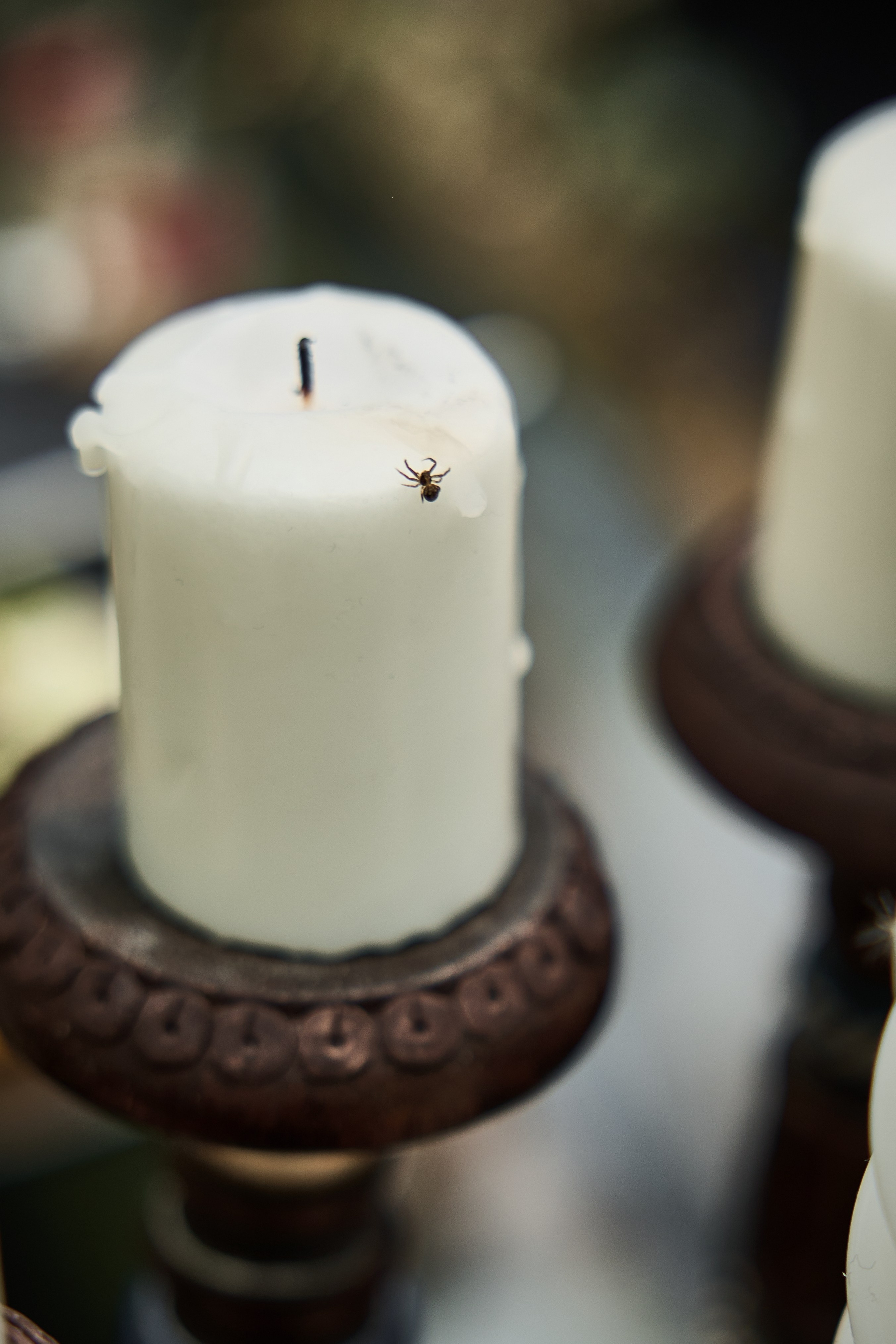 Максим и Софья. Kharchenkotatianaweddingphoto