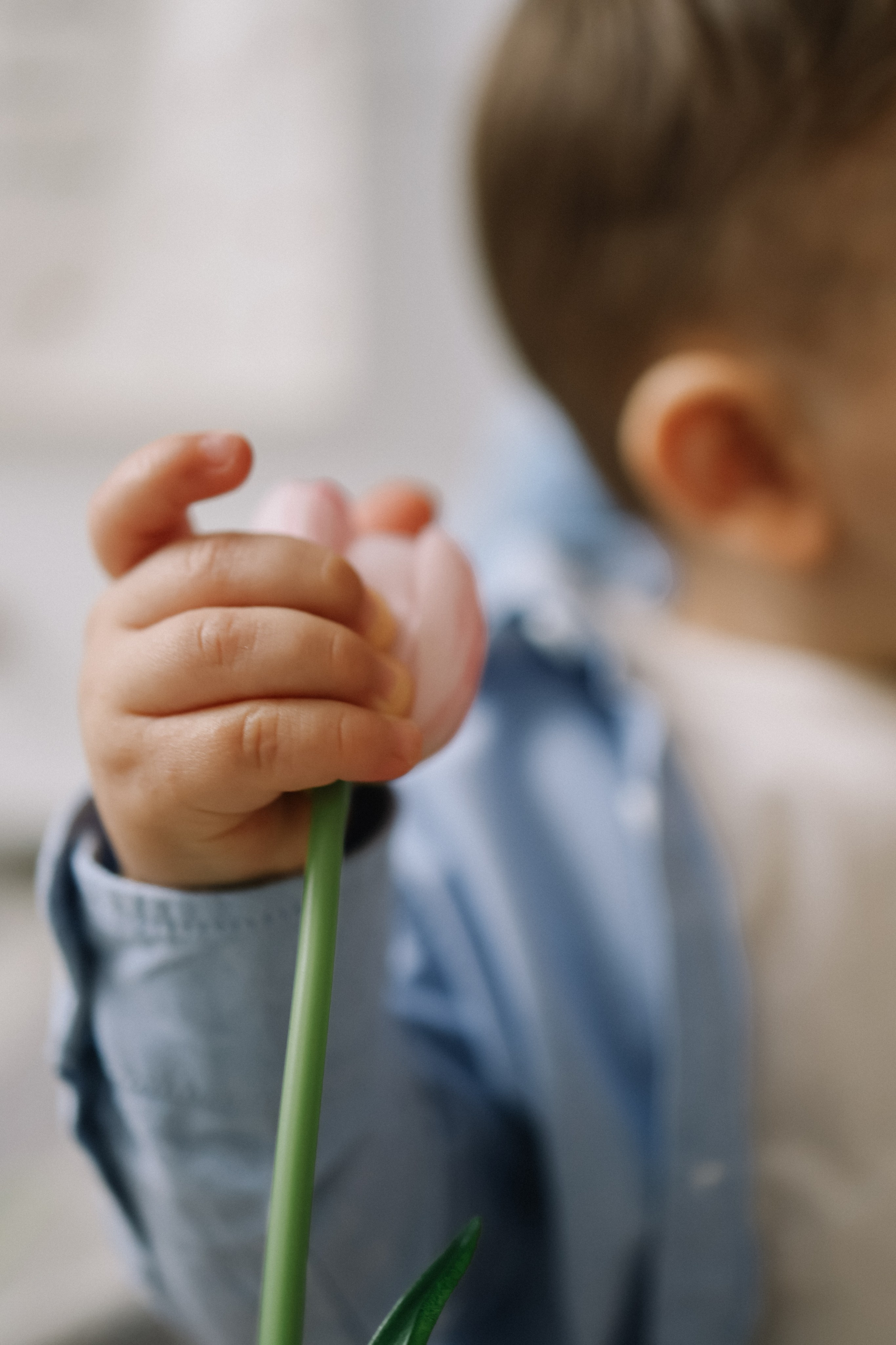 Леонид 1 годик. Kharchenkotatianaweddingphoto