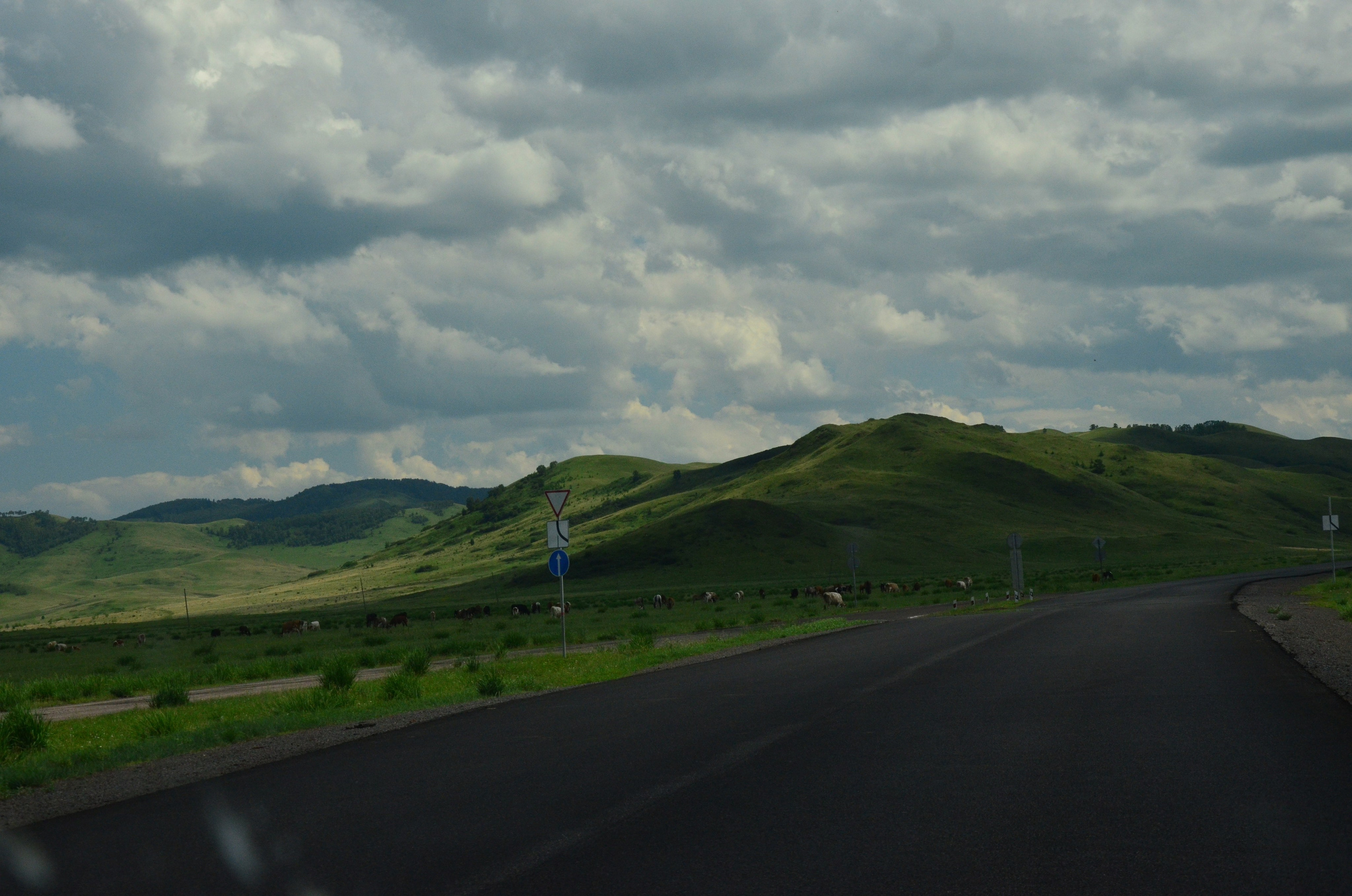 Дары природы. Фотограф viktor viktor