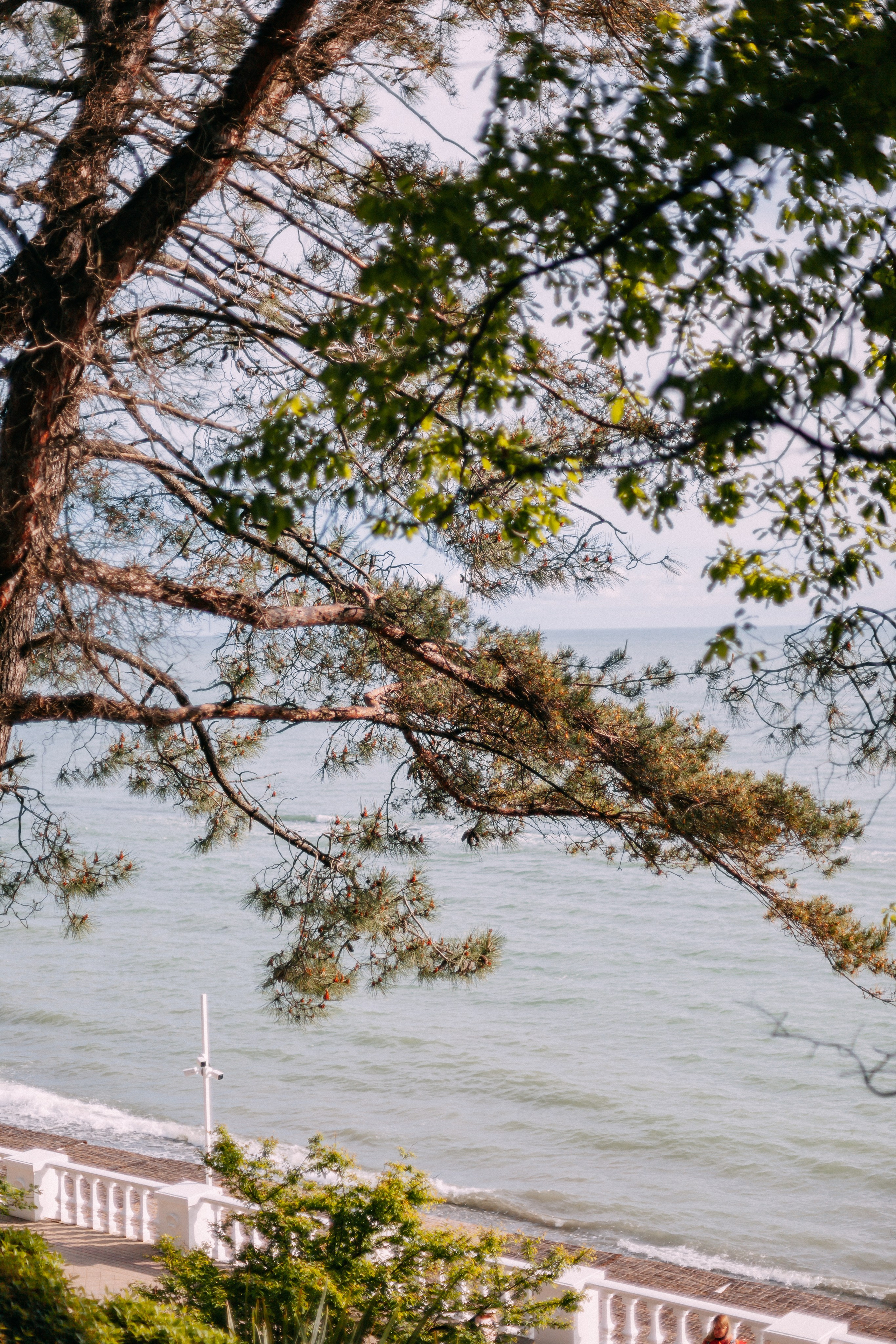 Сочи. Аня Степанова