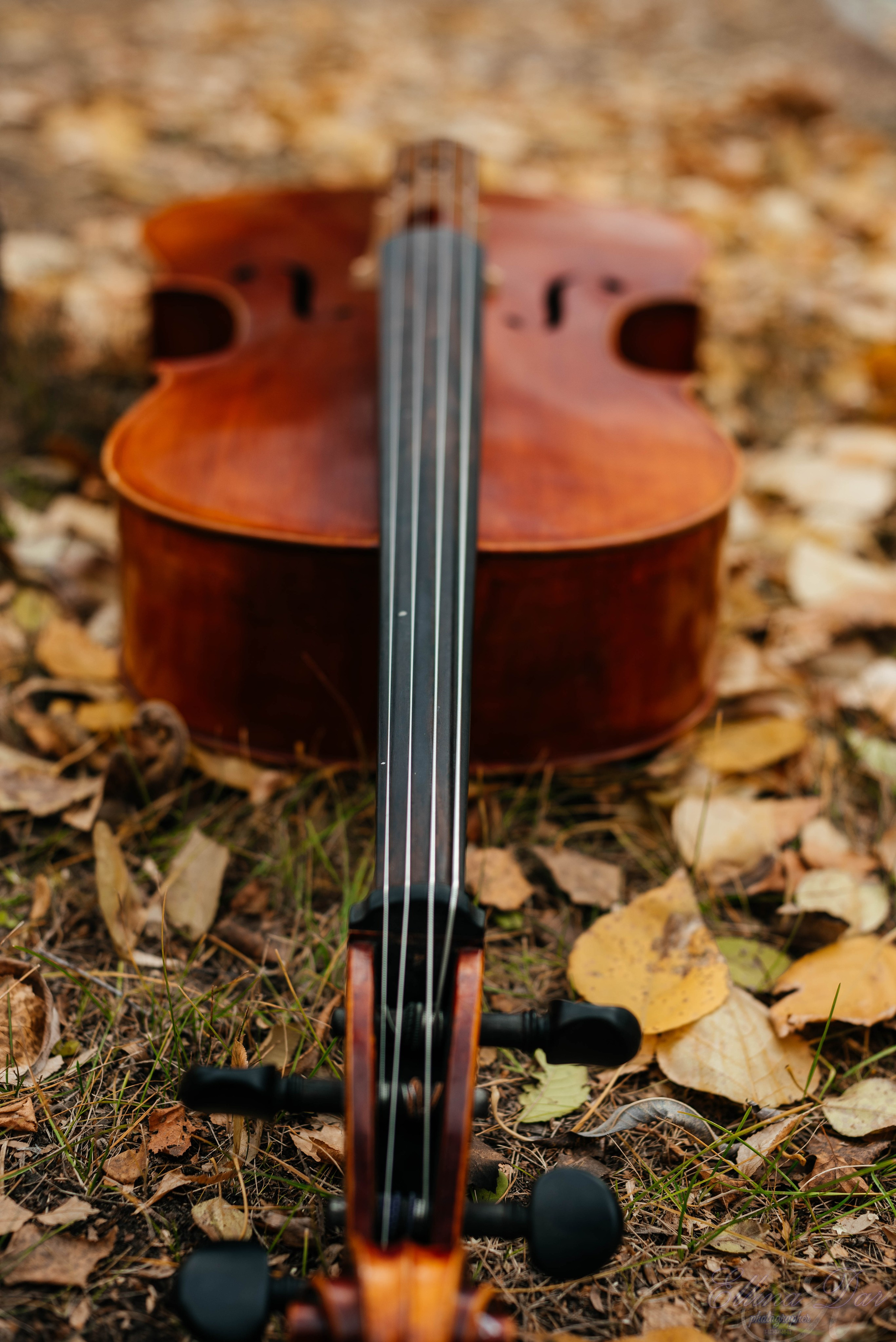 Аюмишка. Фотограф Эллина Дар г. Улан-Удэ