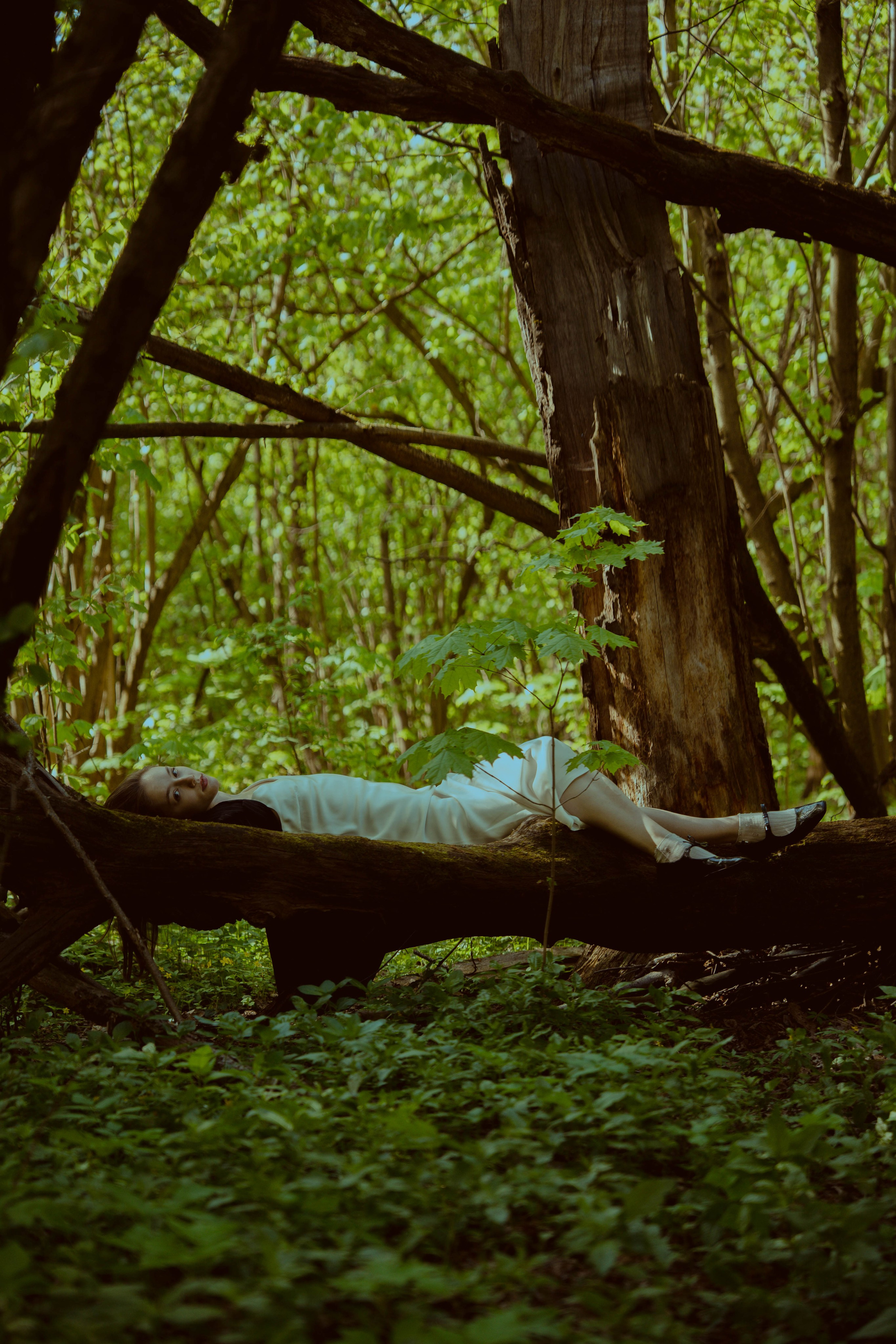 Леди. Beardy Pix