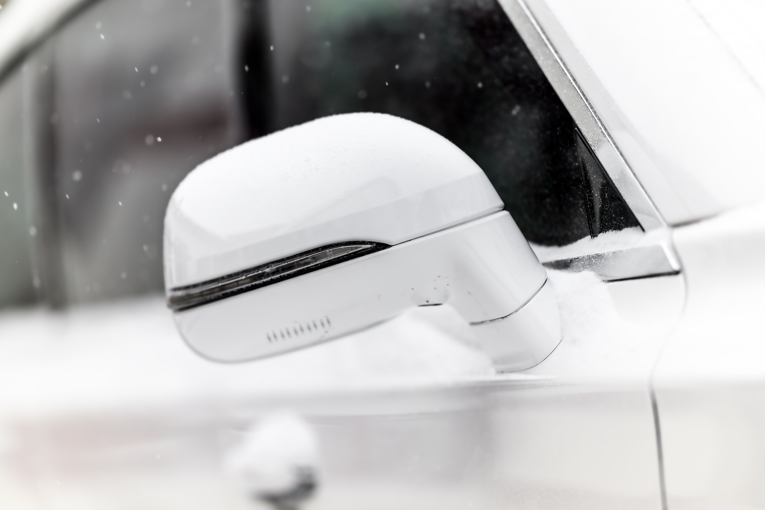 Кастом Особого Назначения 2026. Авто и мотоспорт — фотограф Антон Медведев iCoguar