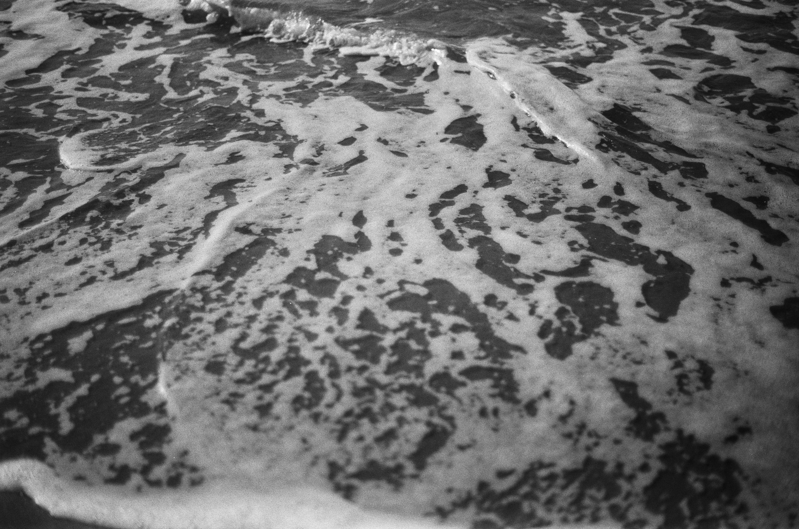 Move me // ukraine, crimea IV. EVER EXPOSED