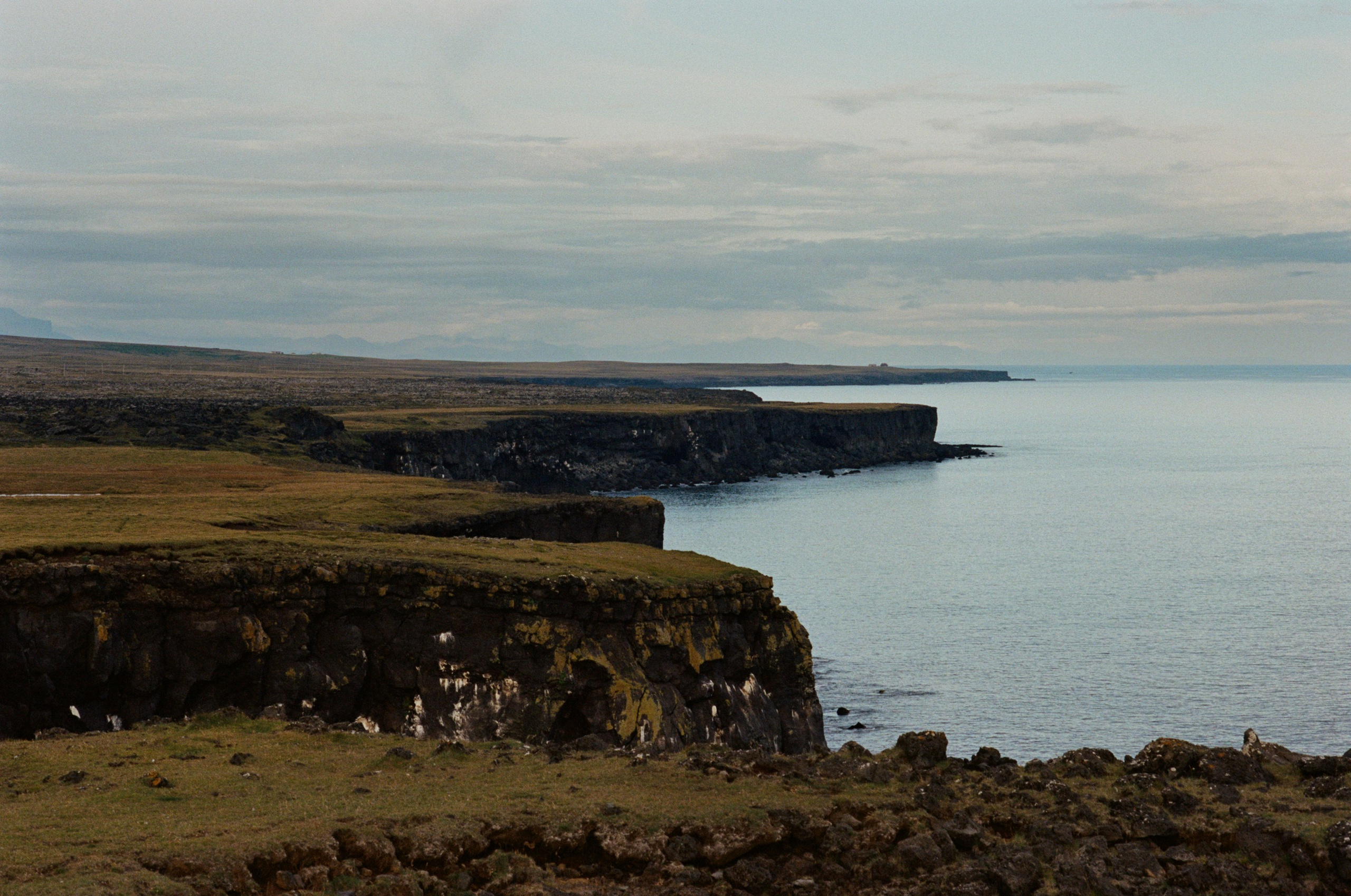 Vor i vaglaskogi // iceland, 574 utnesvegur. EVER EXPOSED
