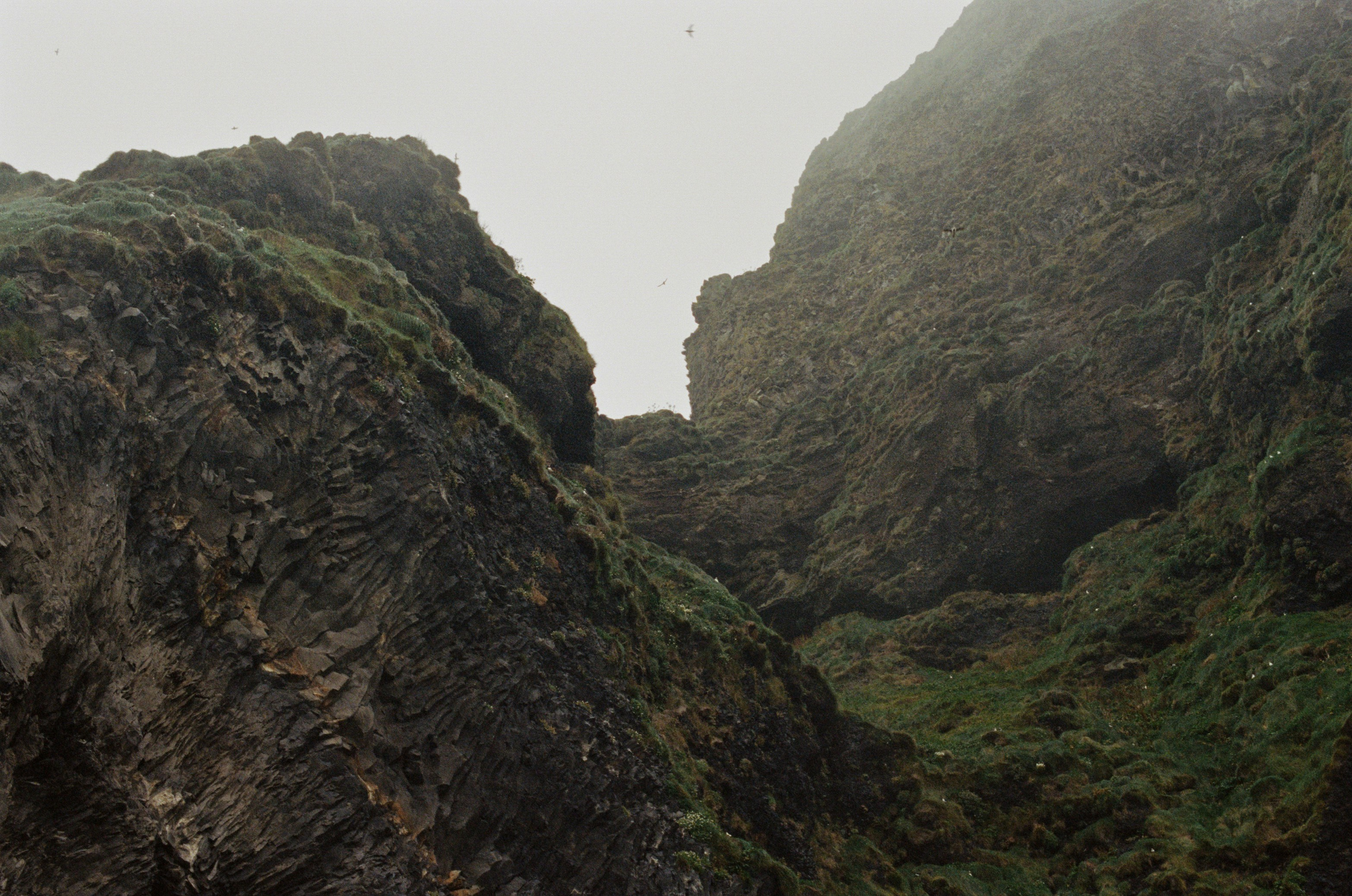 Human // iceland, reynisfjara. EVER EXPOSED