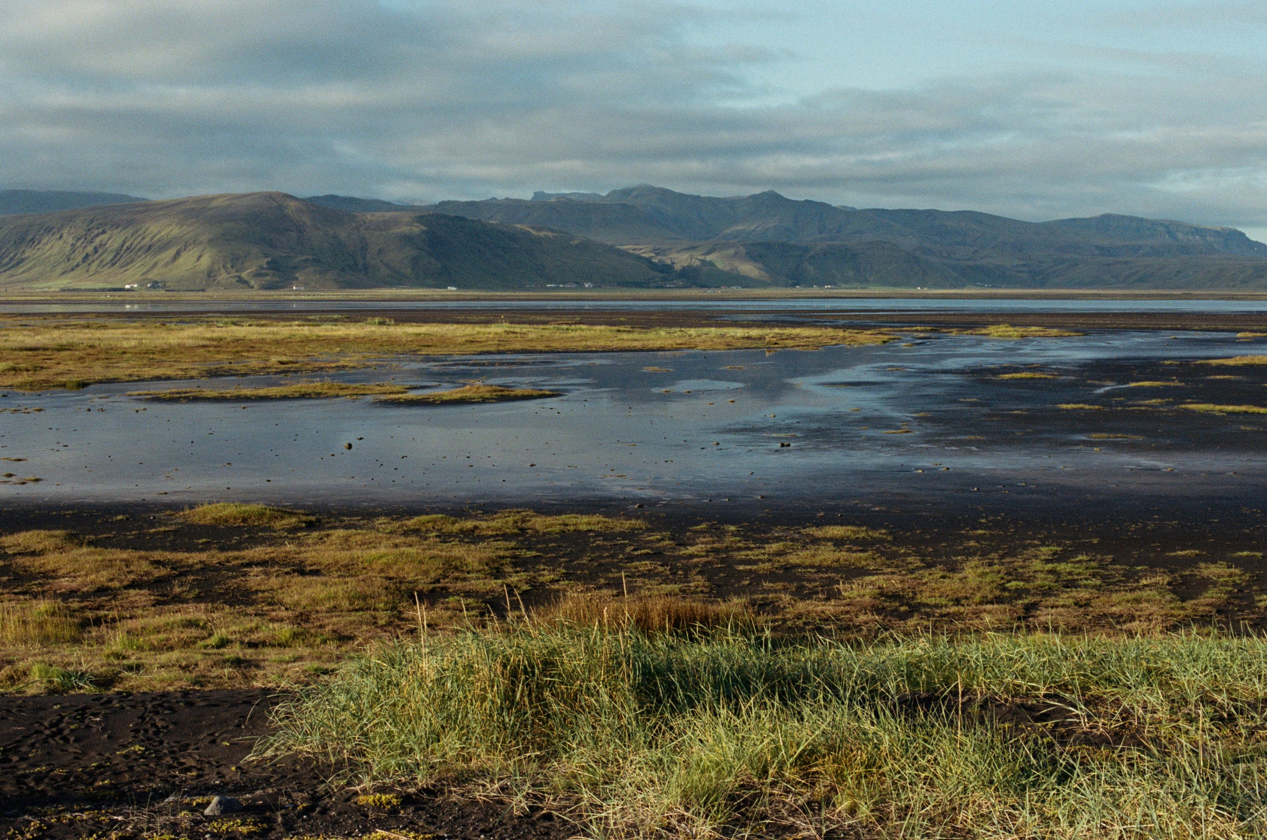 Vor i vaglaskogi // iceland, dyrhólaey. EVER EXPOSED