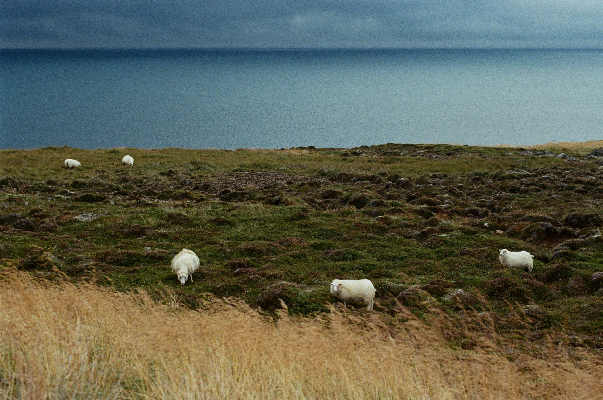 Unravelling // iceland, 917 hlíðarvegur. EVER EXPOSED