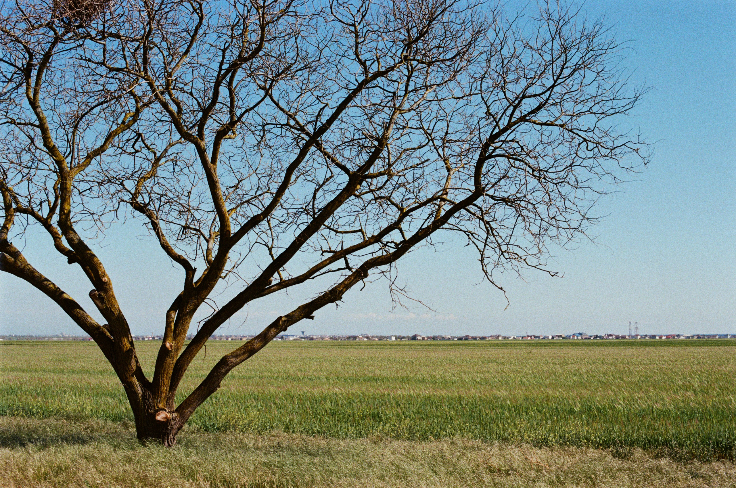 Press enter to exit // ukraine, crimea VII. EVER EXPOSED