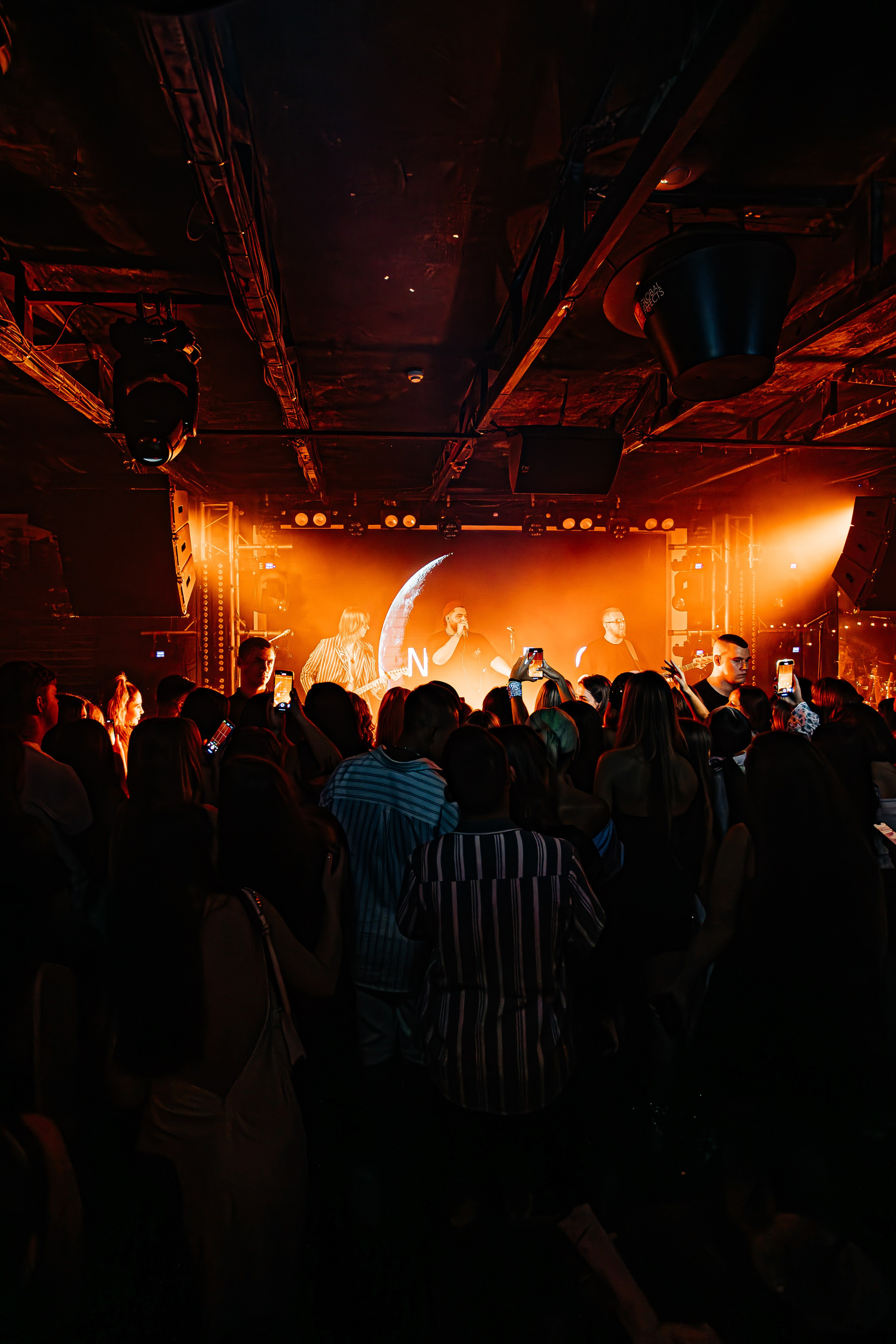 Чайка_на_пляже_Андро_Ялта_24.08.2024. Аминов Руслан | Фотограф