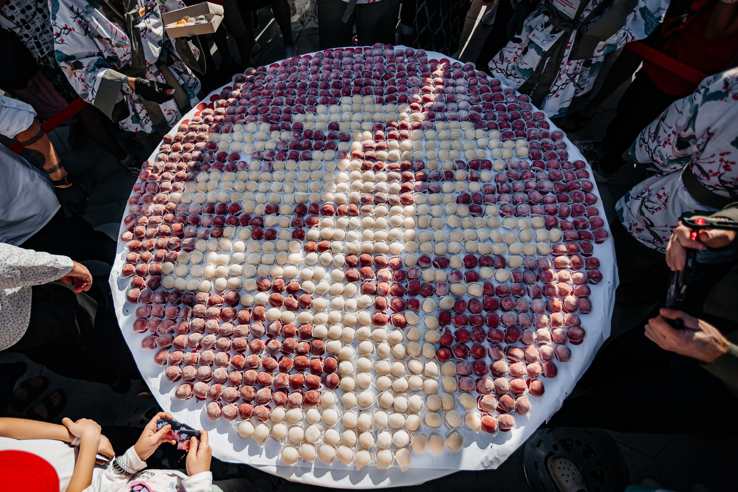 Мрия_Японский_сад_5.10.2024. Аминов Руслан | Фотограф