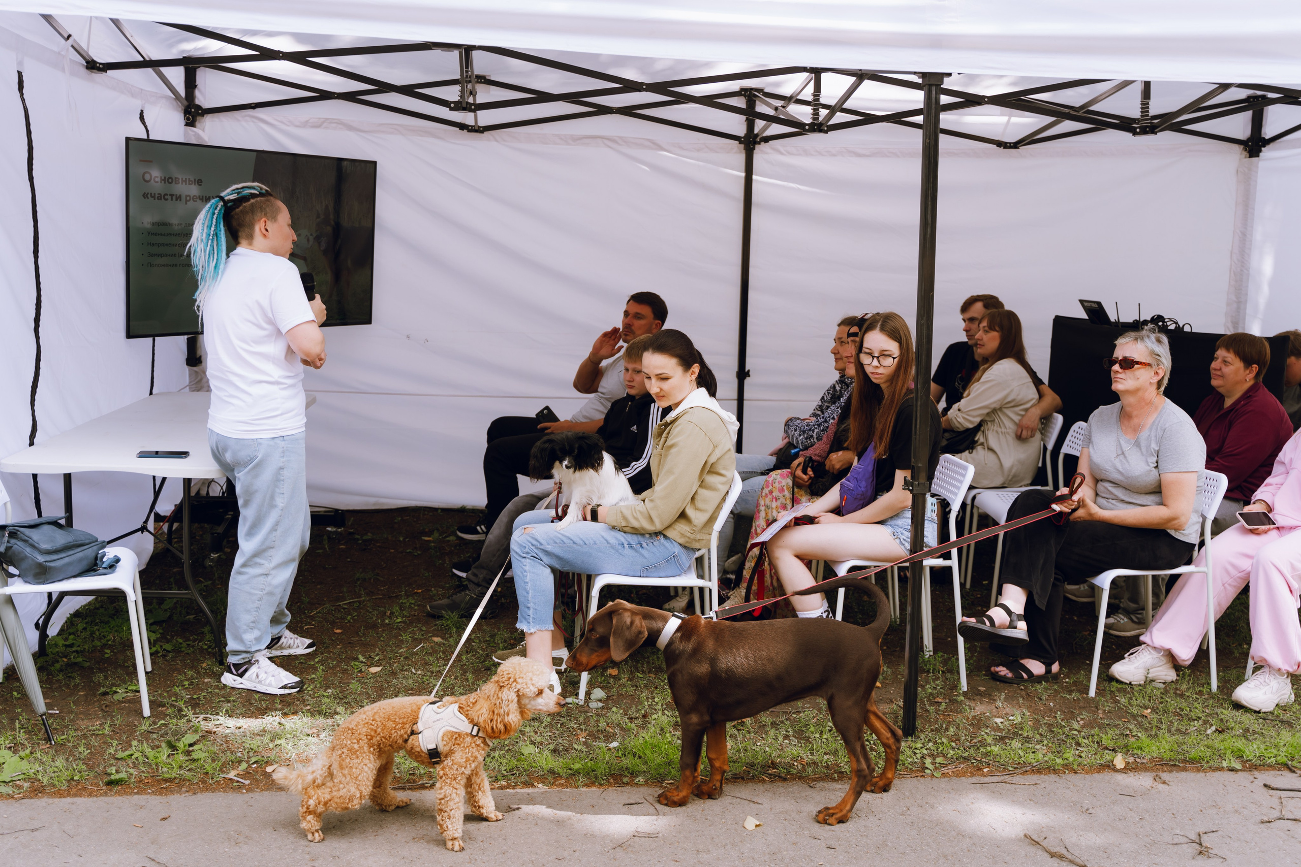 Площадка фестиваля «Мампус и его друзья» в Лесопарке 2025. Фотограф Надежда Погребняк | Рязань | Москва