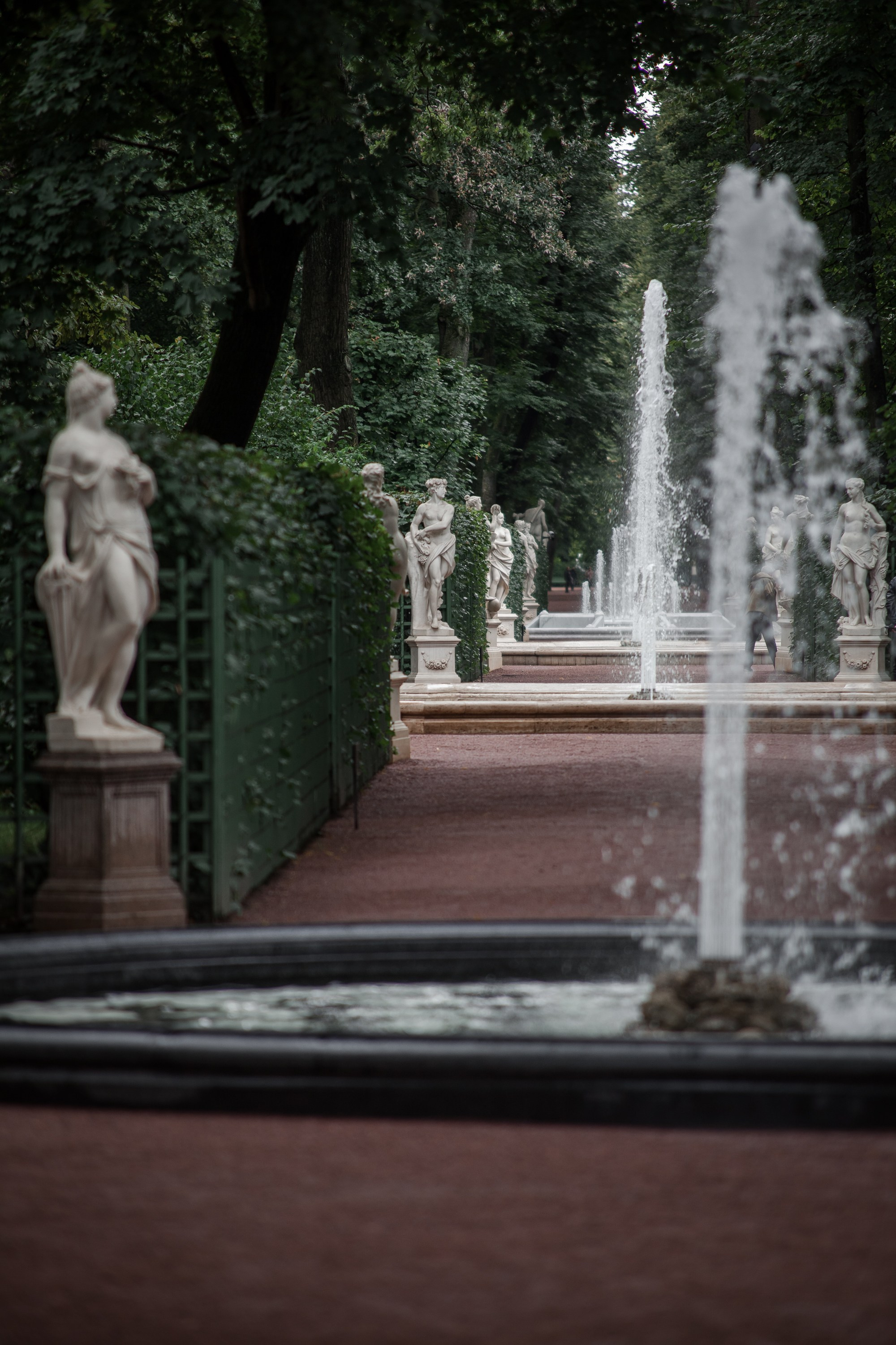 «Летний сад- моими глазами…». Туманов Виталий — фотограф Москва