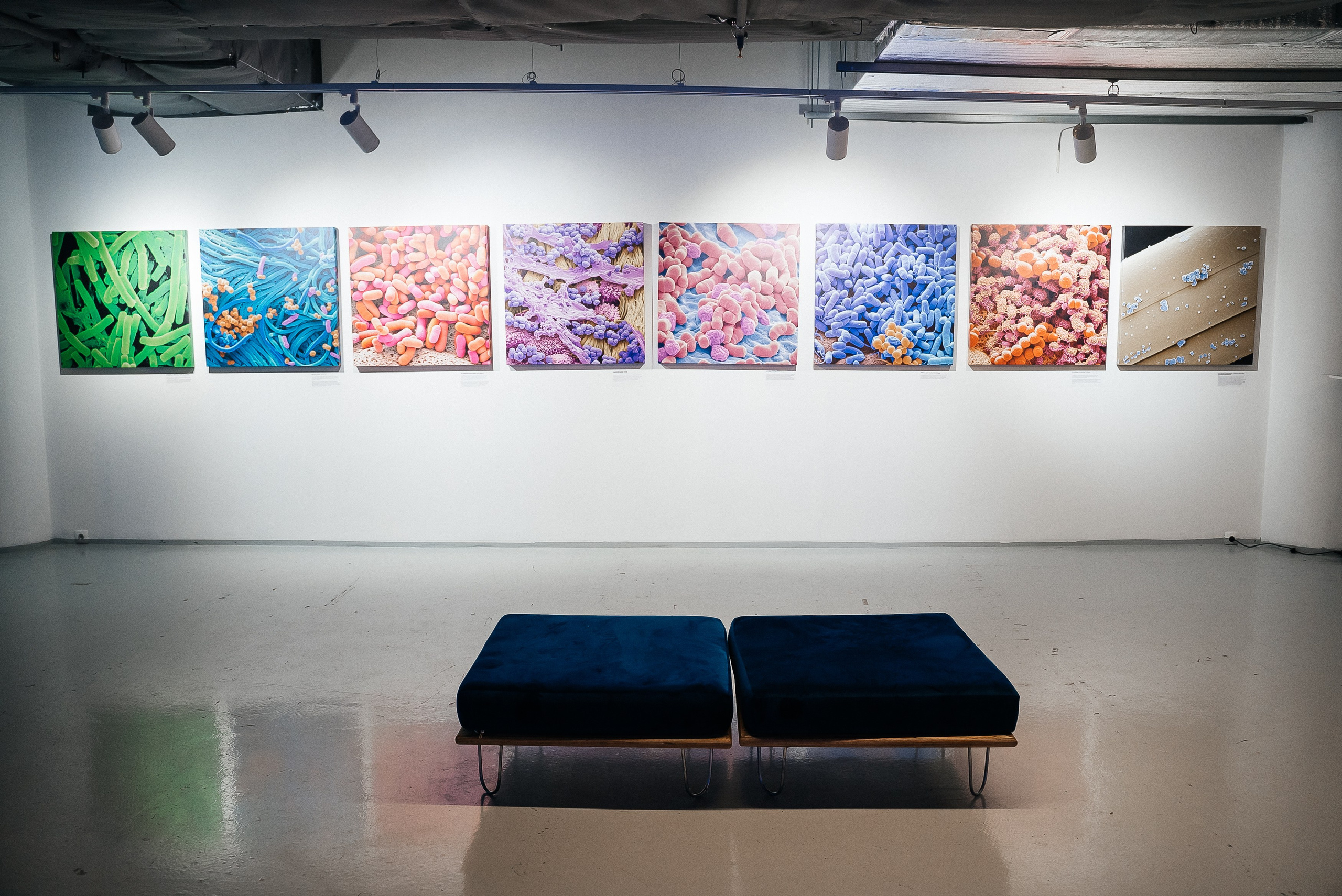 La Roche Posay. Павел Краснов — Свадебный и репортажный фотограф в Москве