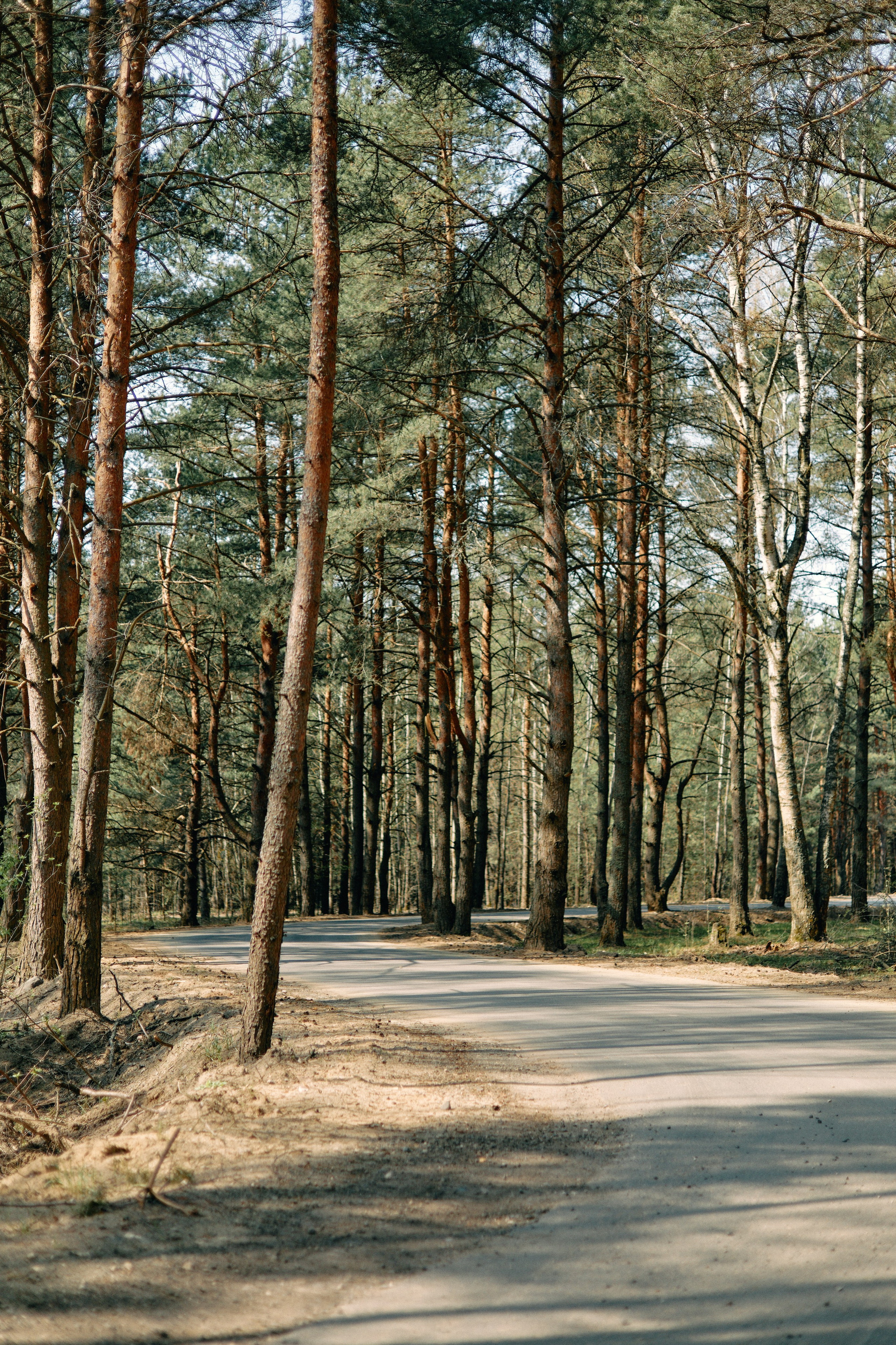 Бутик-отель Поле летом. Профессиональный Фотограф во Владимире, в Москве и в Суздале — Полина Романычева