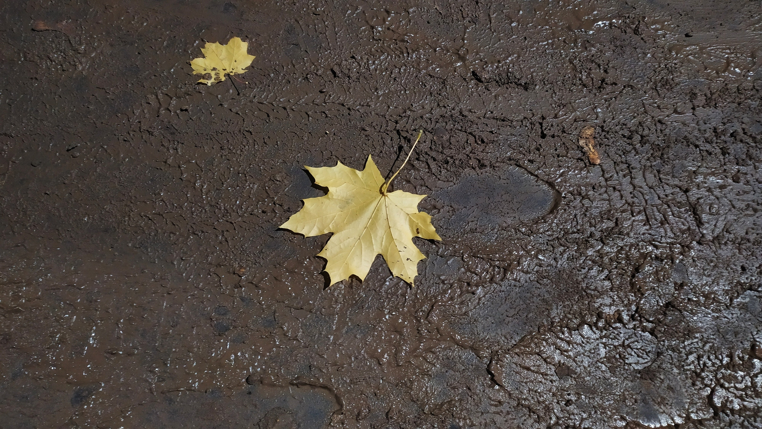 Старое природное, отбирала Katamount (Катерина Горохова). Главная