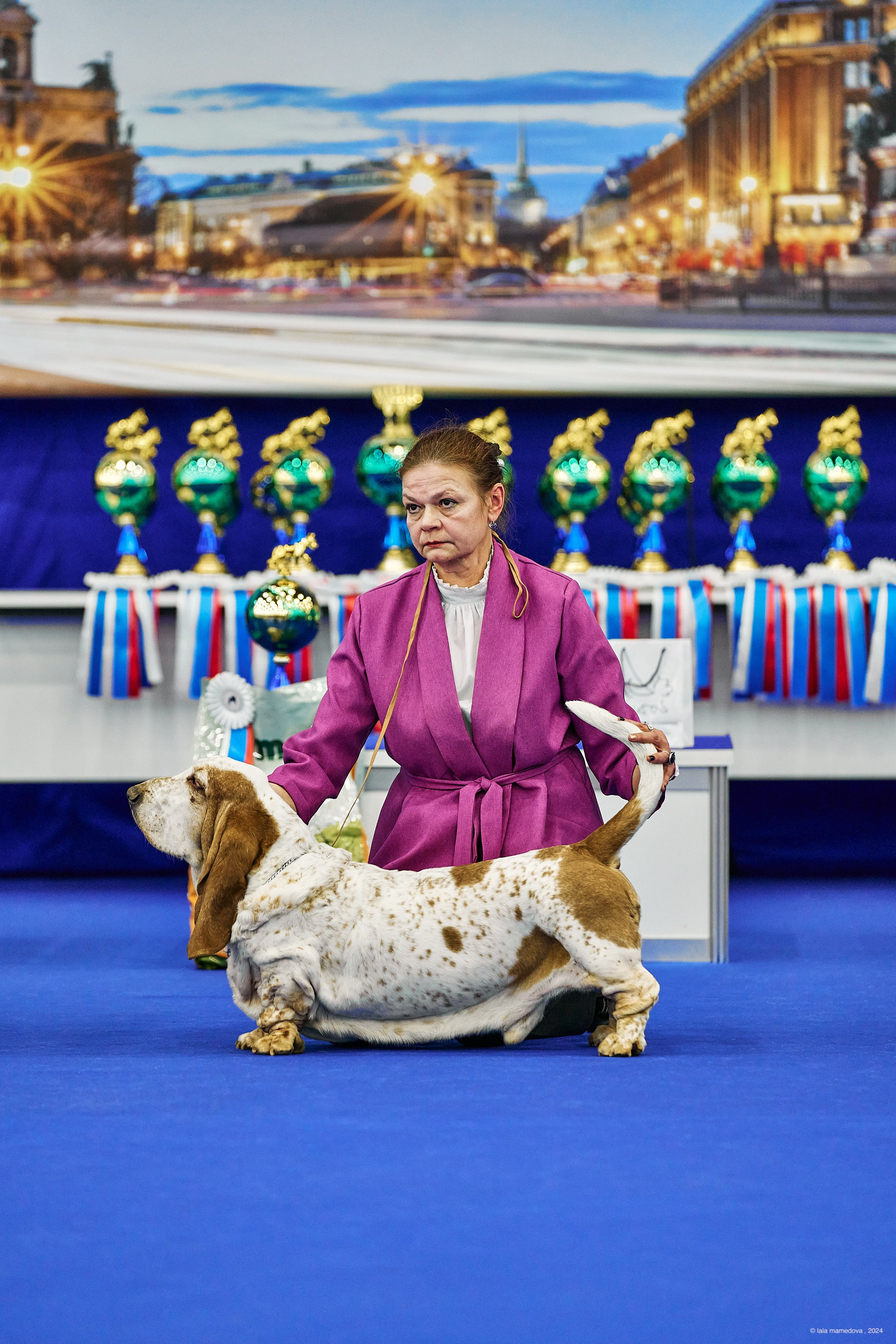 РЕЙТИНГОВАЯ ВЫСТАВКА СОБАК ВСЕХ ПОРОД С ОСОБЫМ СТАТУСОМ"НЕВСКИЙ ПОБЕДИТЕЛЬ-2024-2"