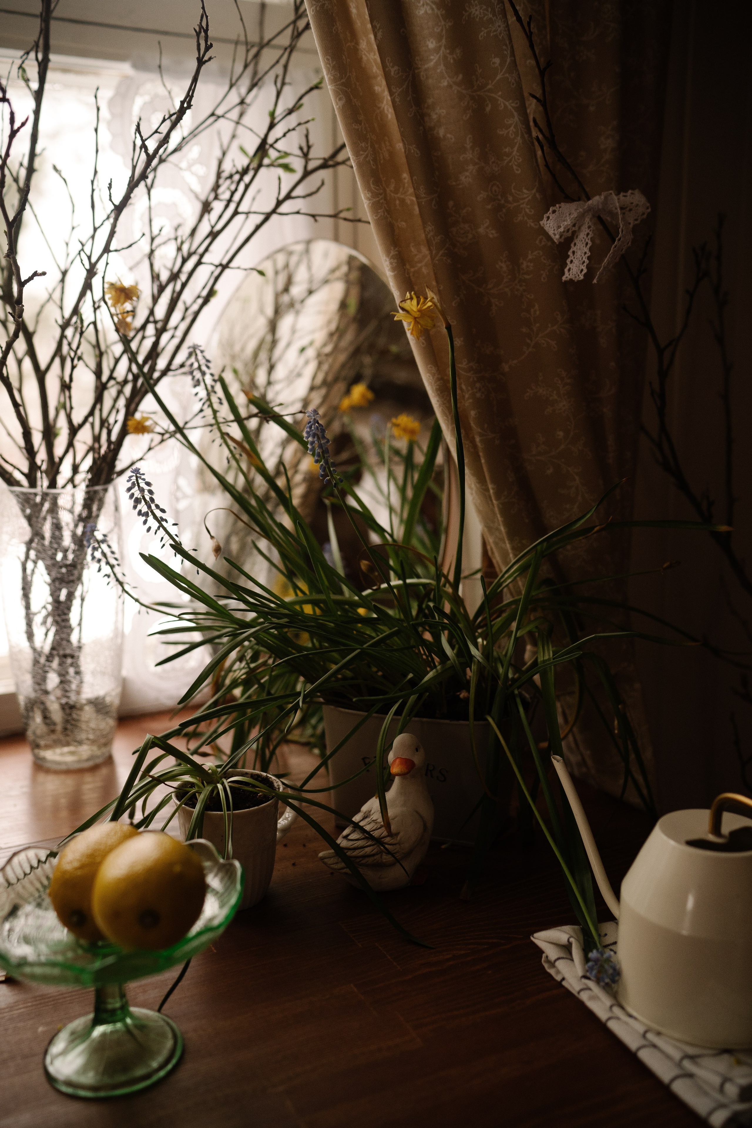 На даче. Искренний фотограф