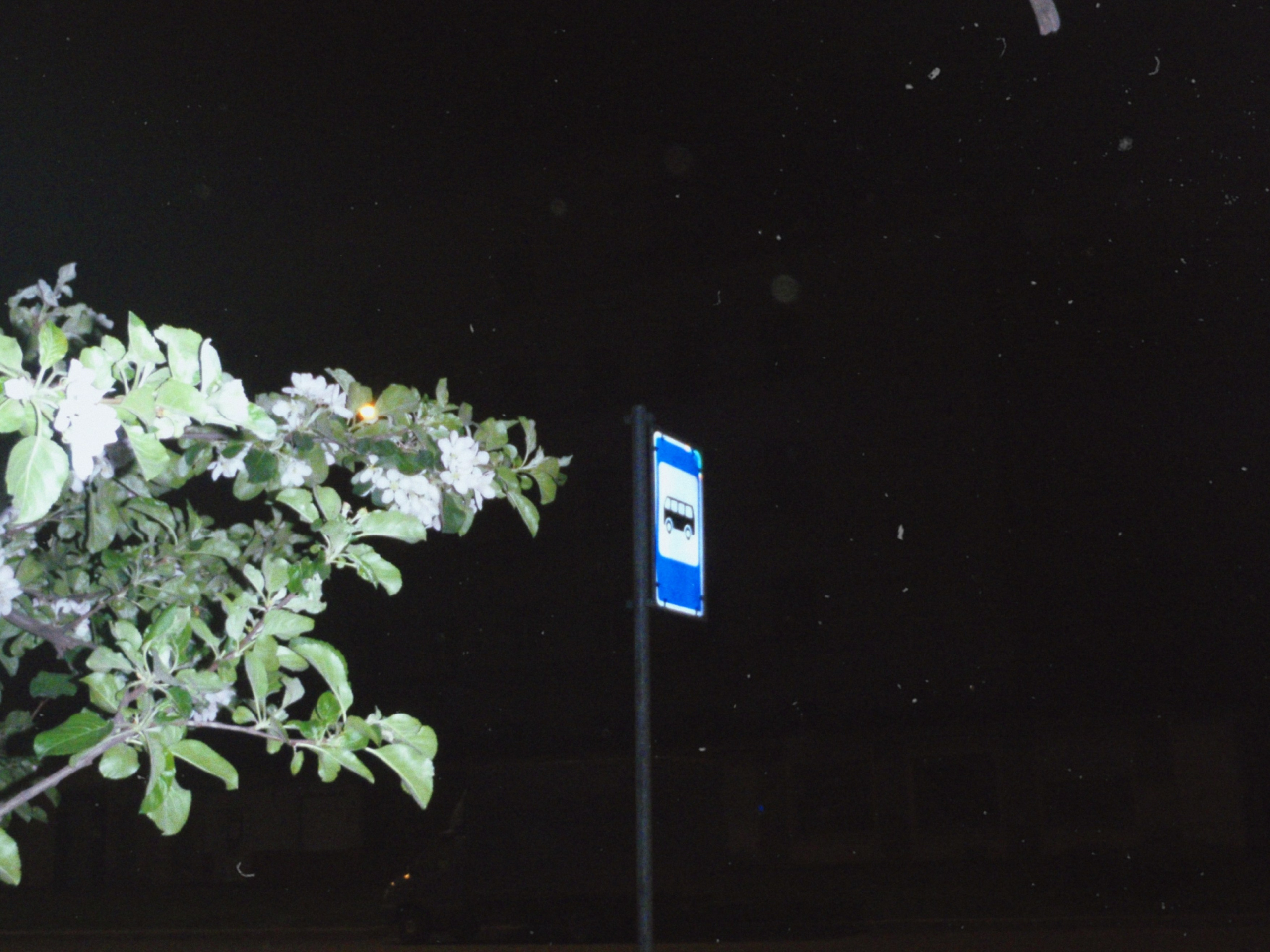 Olimpus mju 1030sw. Анна Мильч