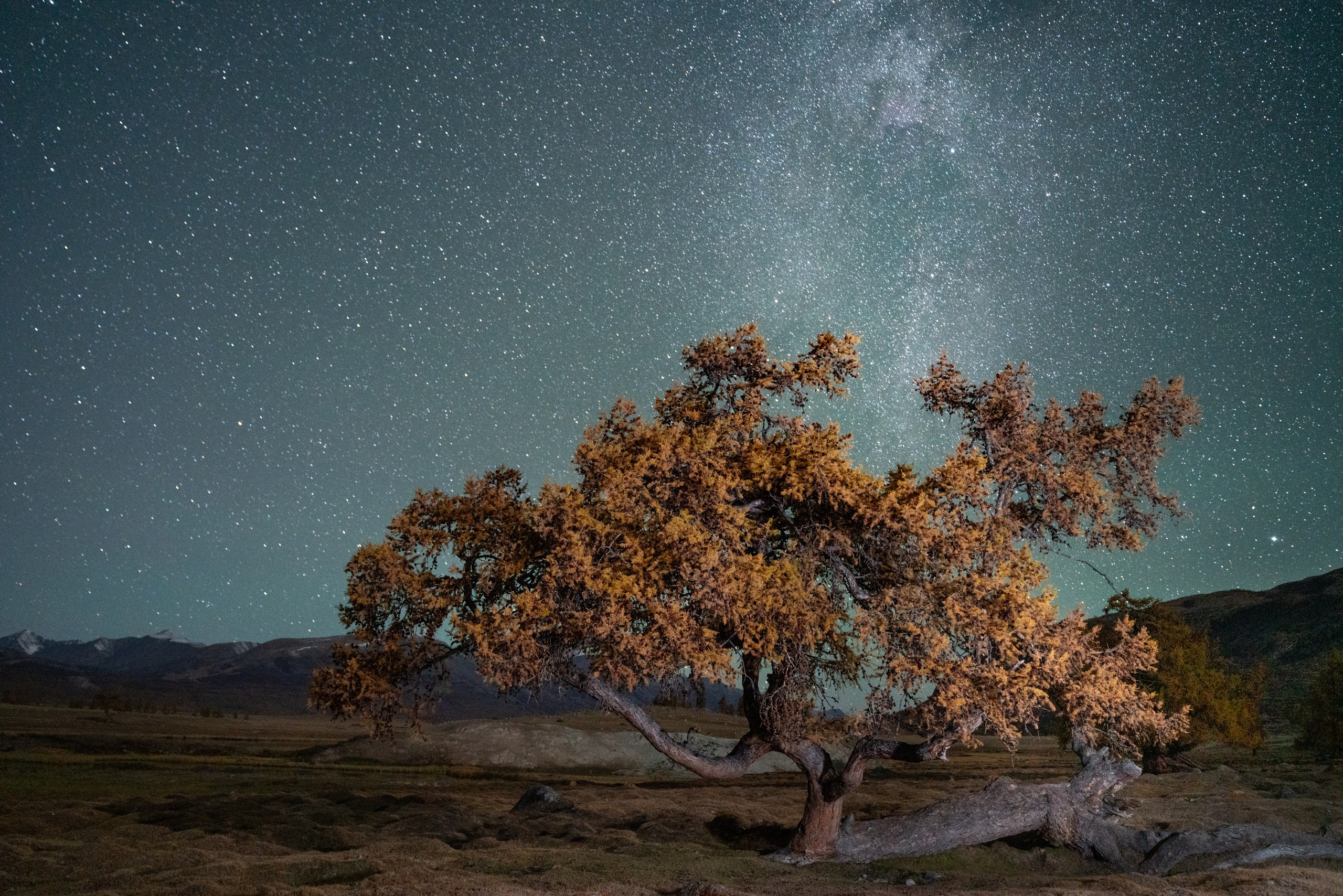 Монголия. Фотограф в Красноярске Нерозя Александр. Пейзаж, природа, портрет