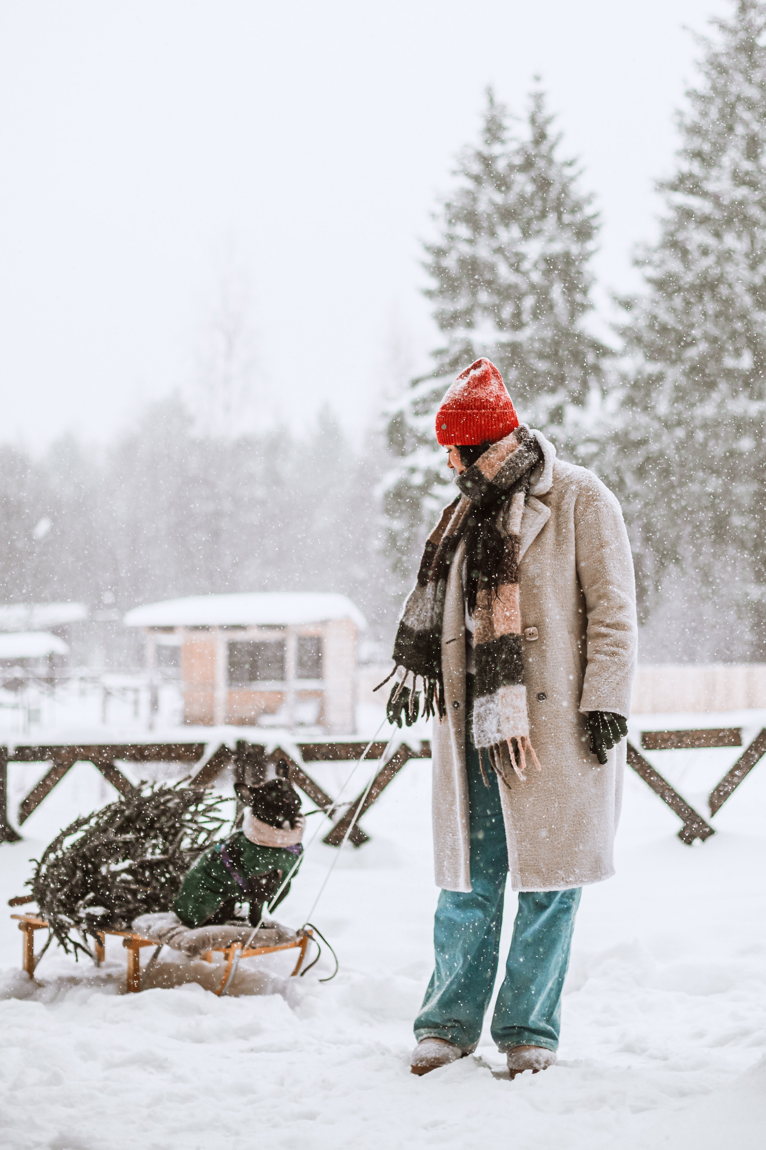 Кантри Хаус. Фотограф-анималист Татьяна Степанова