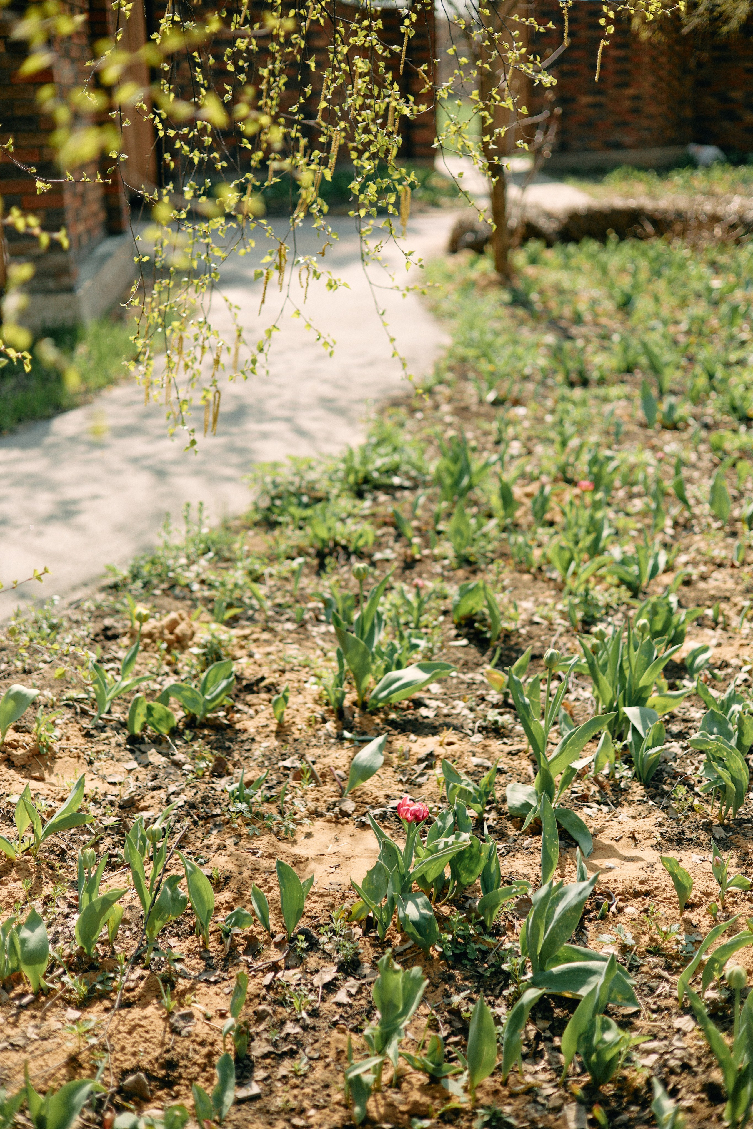 Бутик-отель Поле летом. Профессиональный Фотограф во Владимире, в Москве и в Суздале — Полина Романычева