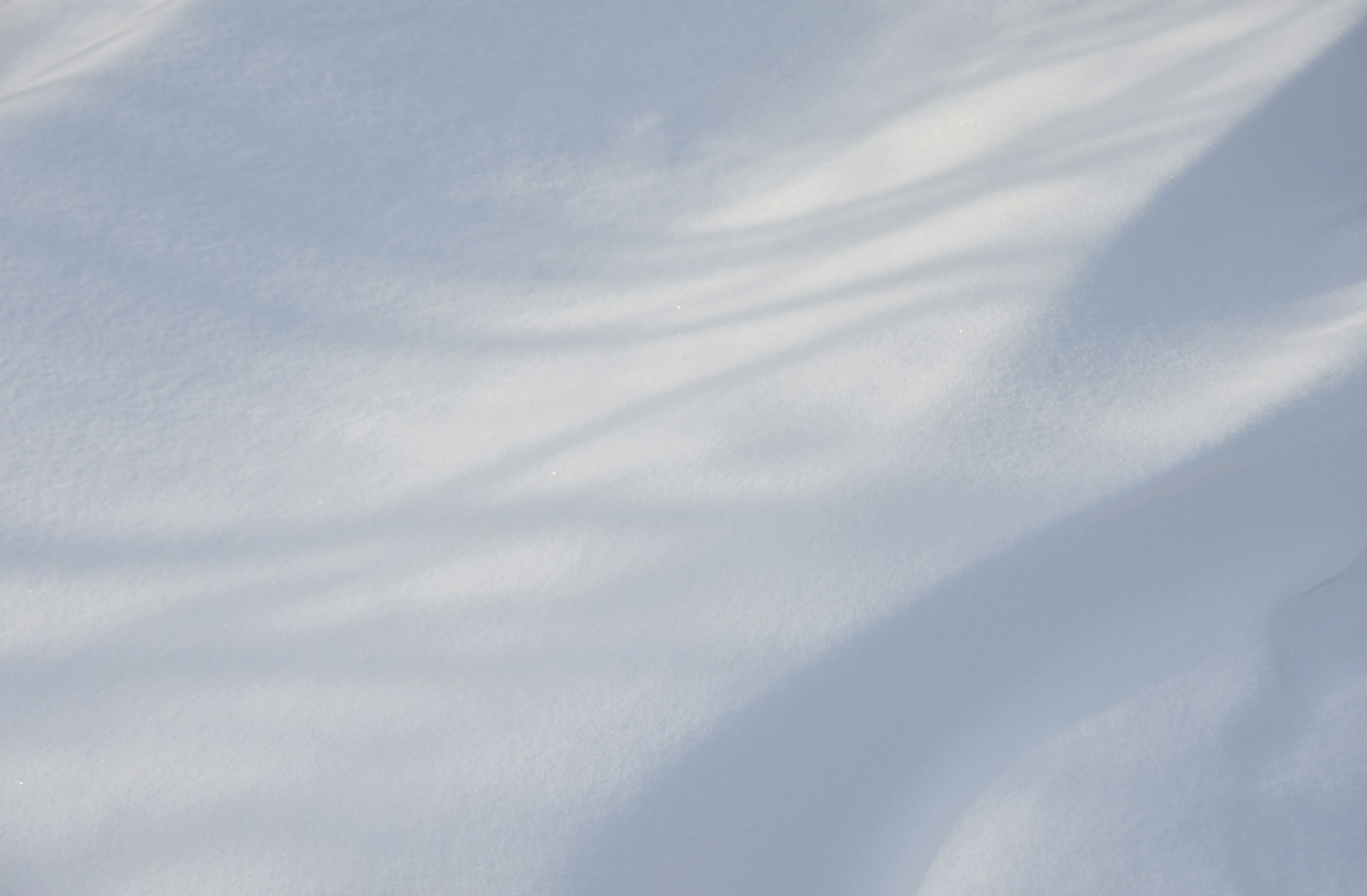 Форма снега. Катерина Михеева