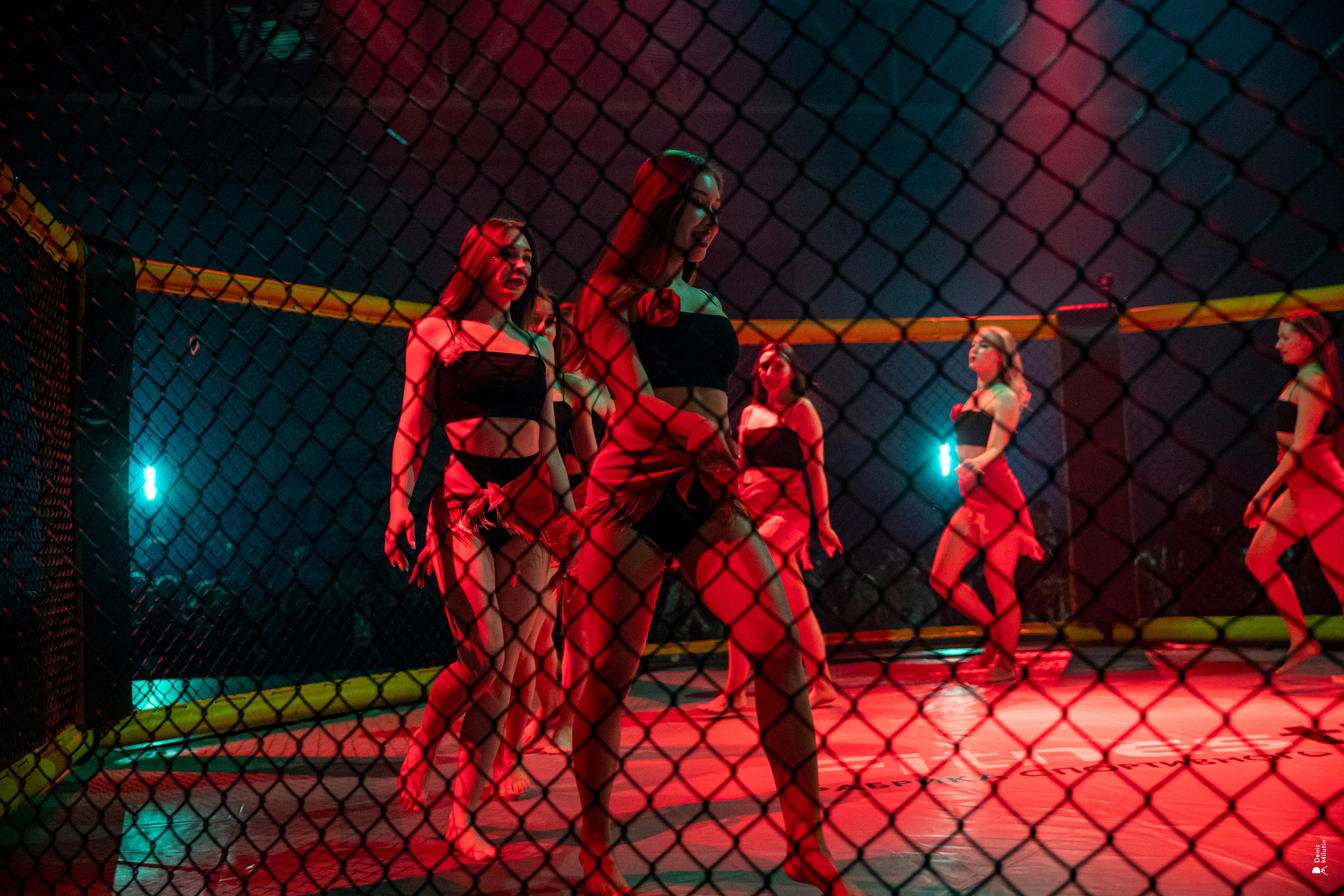 Бои в клетке «Северный Воин». Портретный фотограф Денис Милютин