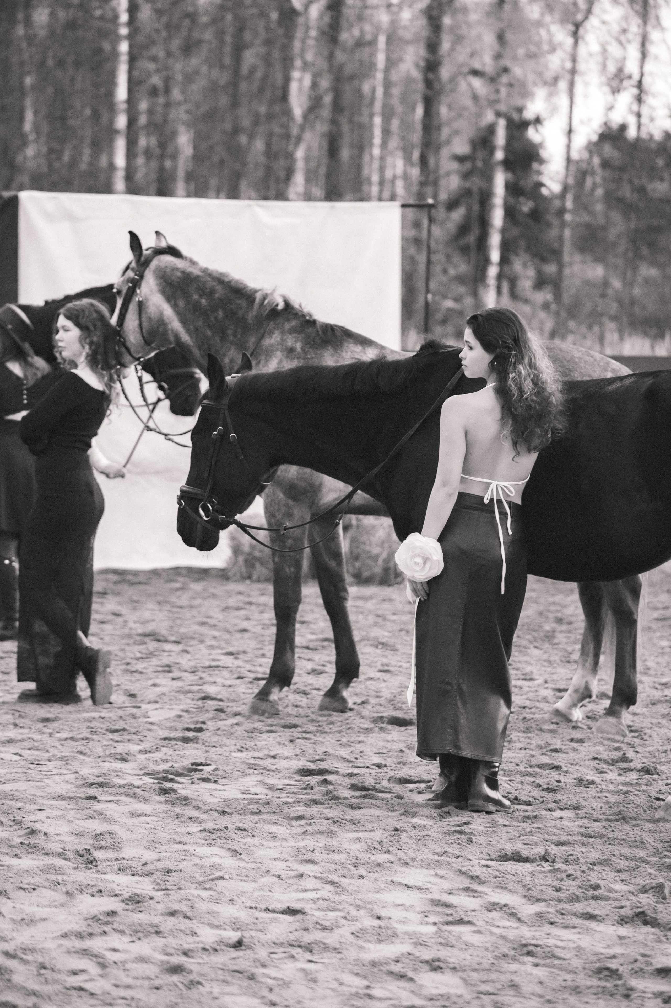 Проект DEFILE. Конный фотограф в Санкт-Петербурге Анна Лебедева