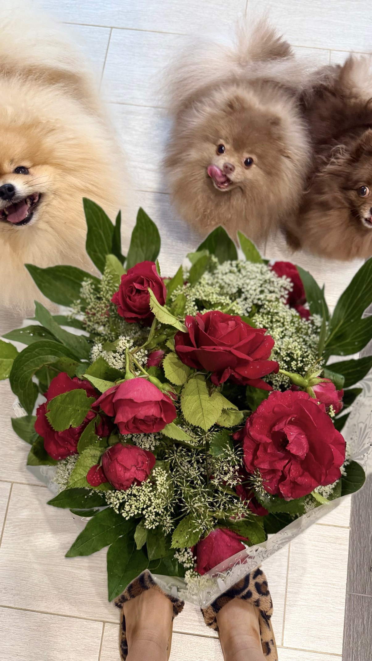 СЕЛФИ. Фотограф Санкт-Петербург