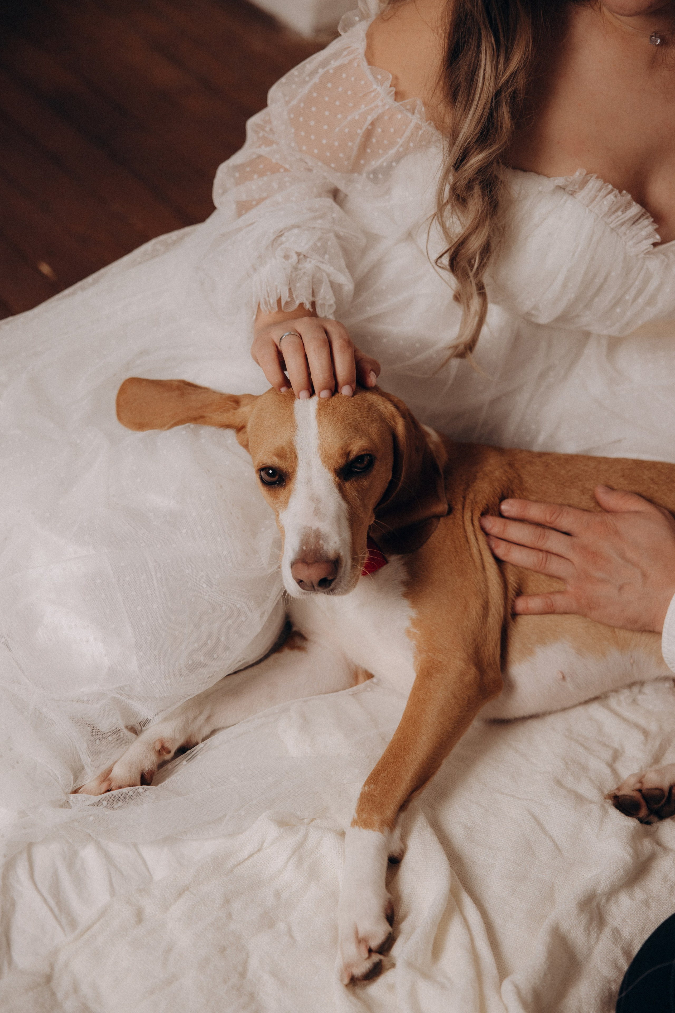 История любви. Фотограф анималист в Казани Алина Сулейманова. Фотограф животных