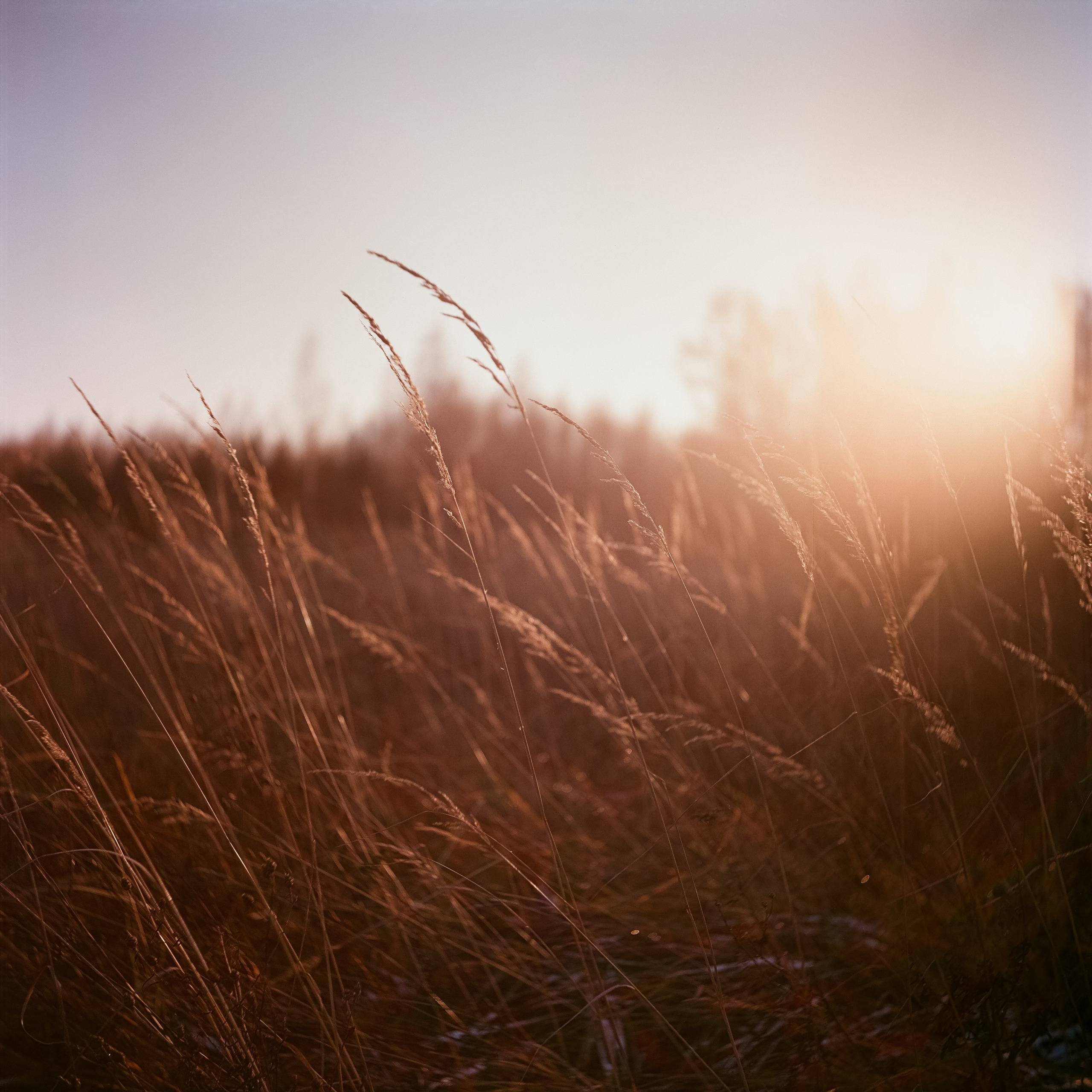 Белоконь Алексей. Фотография на пленку. Семья и путешествия