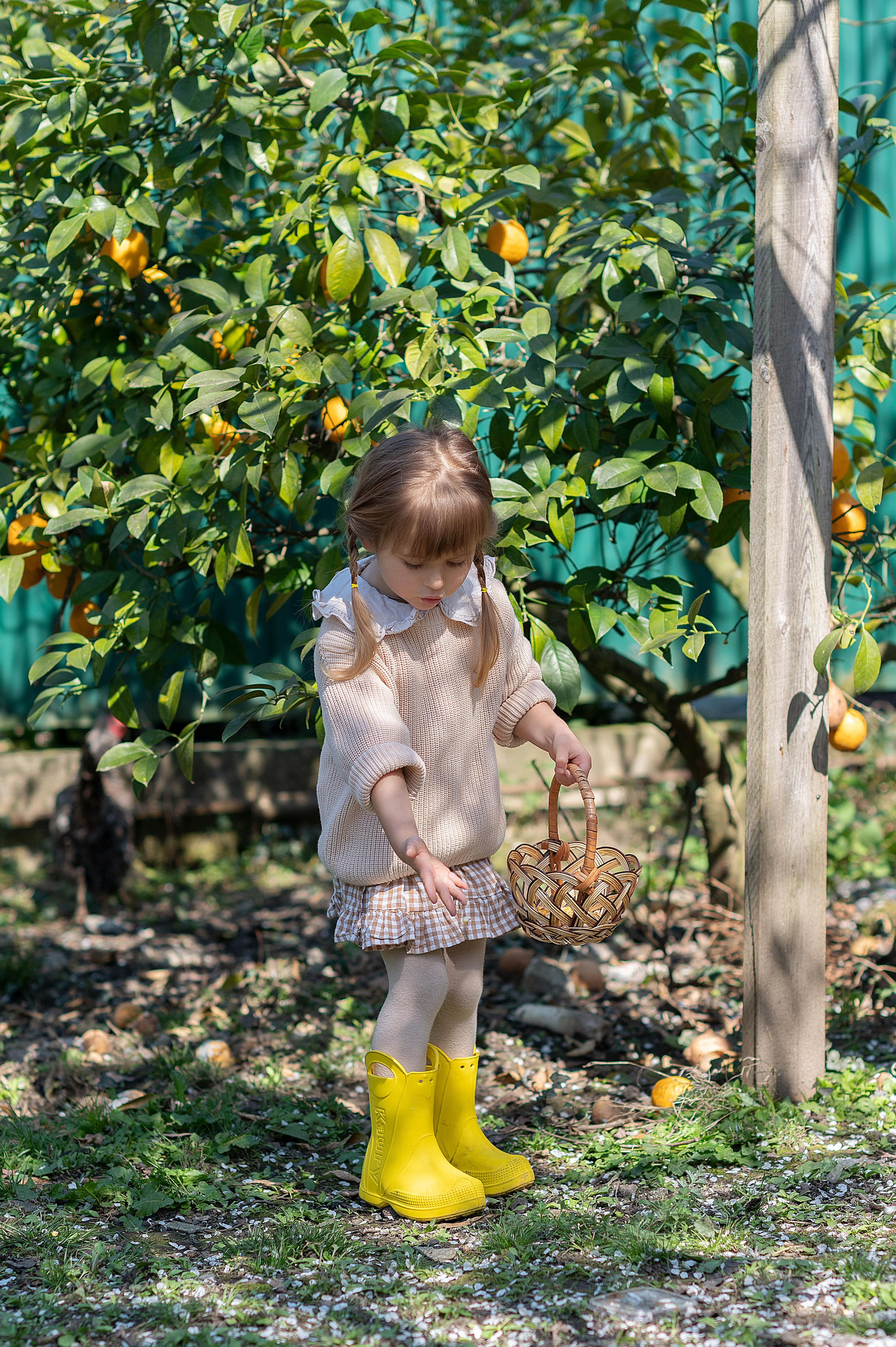 Курочки. Детский фотограф Абхазия