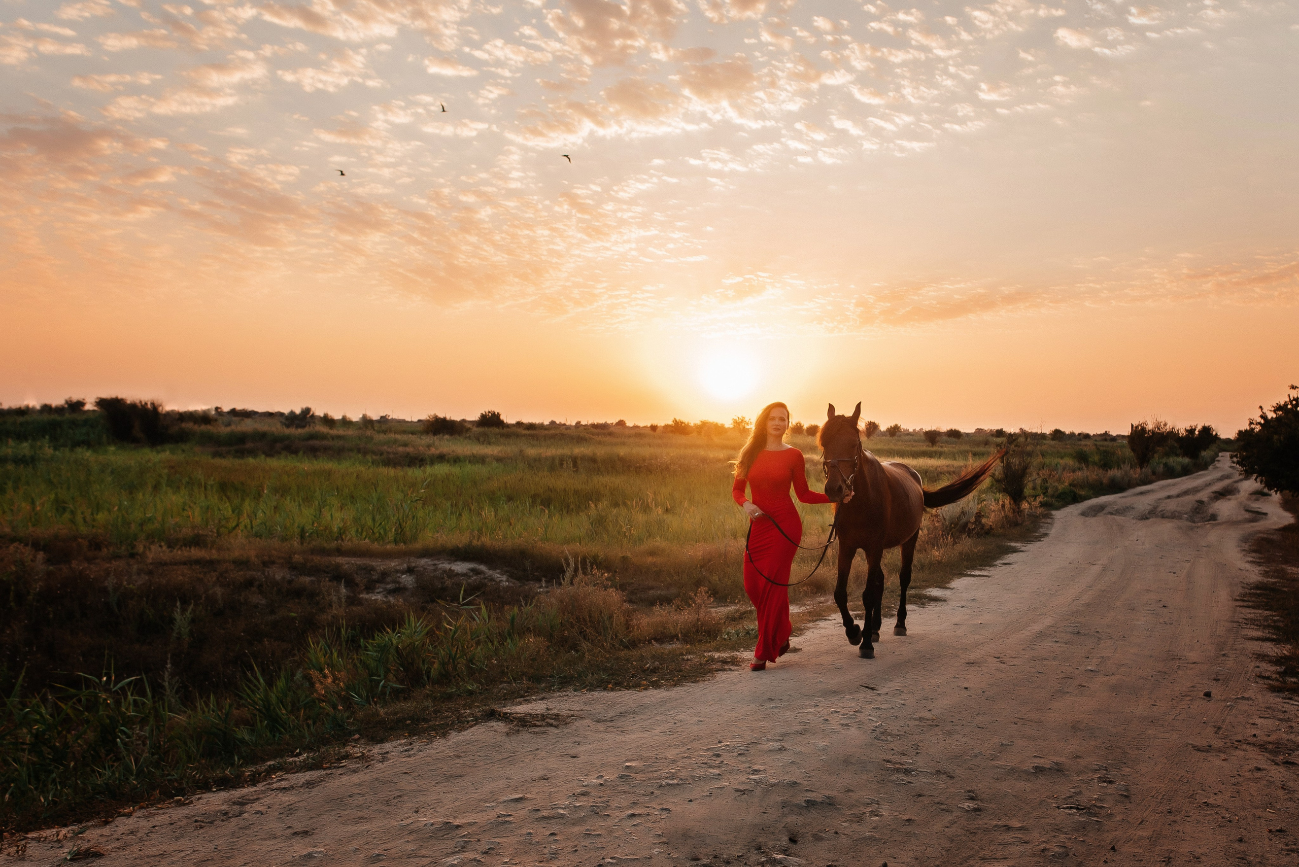 Яна с лошадью. Детский и семейный фотограф выпускной альбом Приморско-Ахтарск