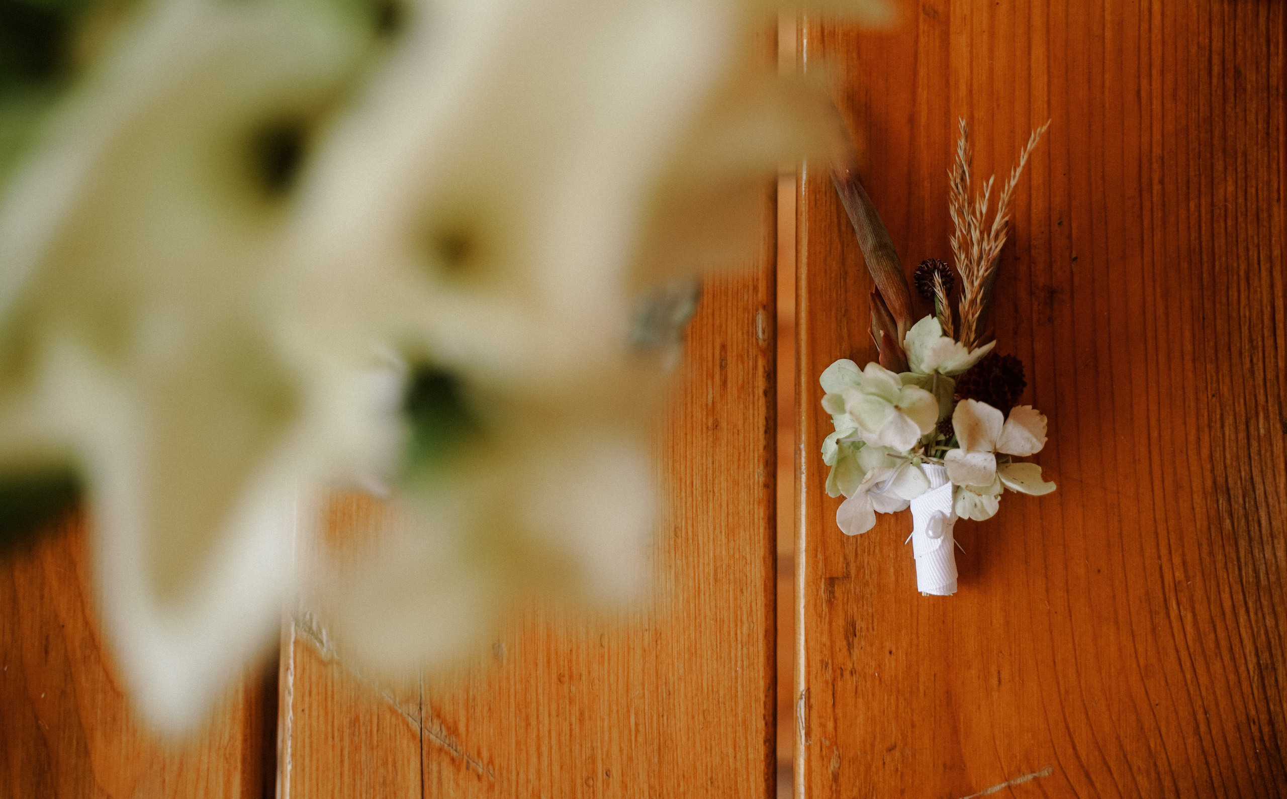 Тбилиси-на-Дону. Фотограф в Ростове-на-Дону и Краснодаре Роман Кудрявцев