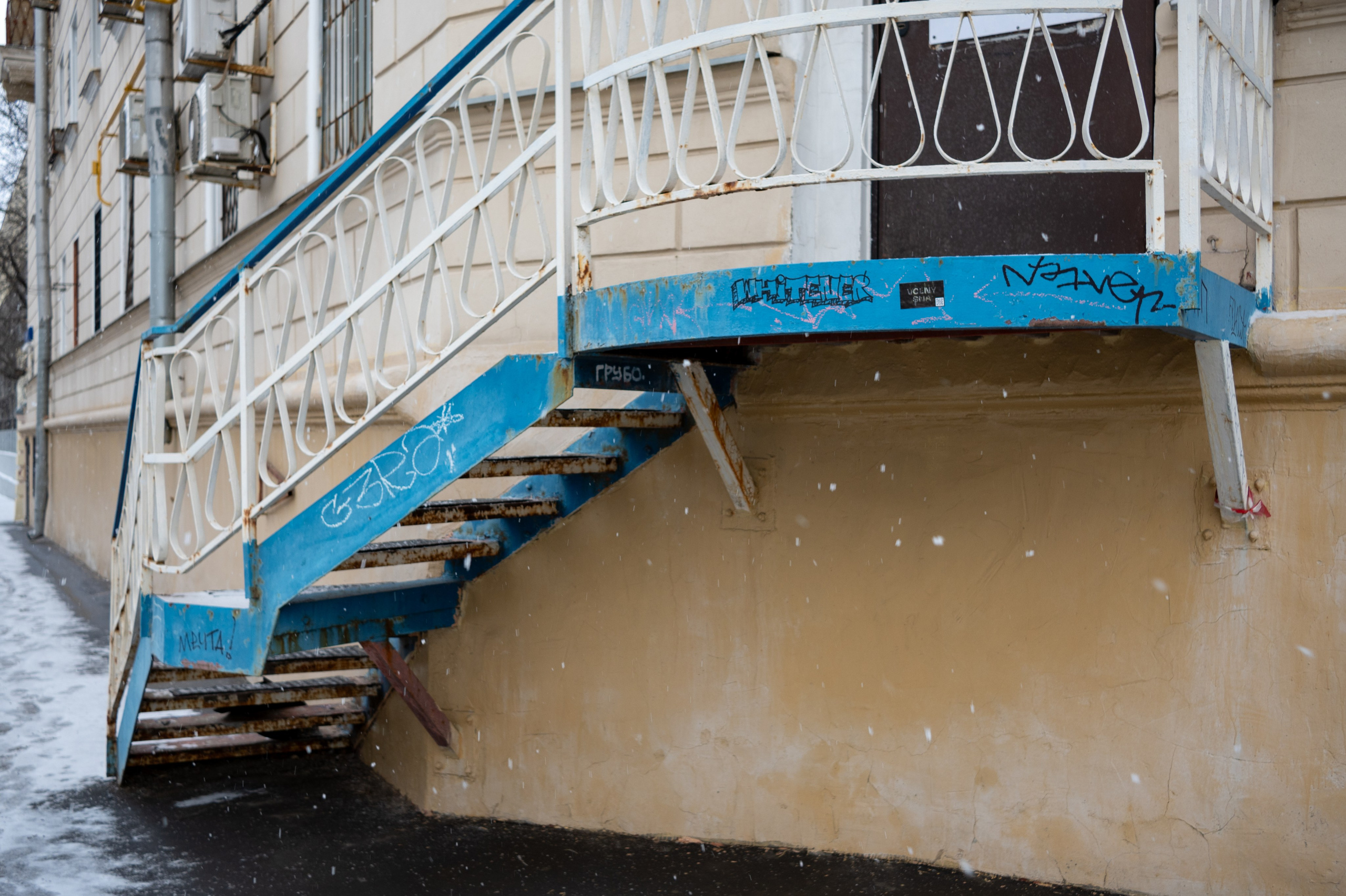 20250216 Нескучный сад. Дмитрий Ремизов. Фотография, как хобби