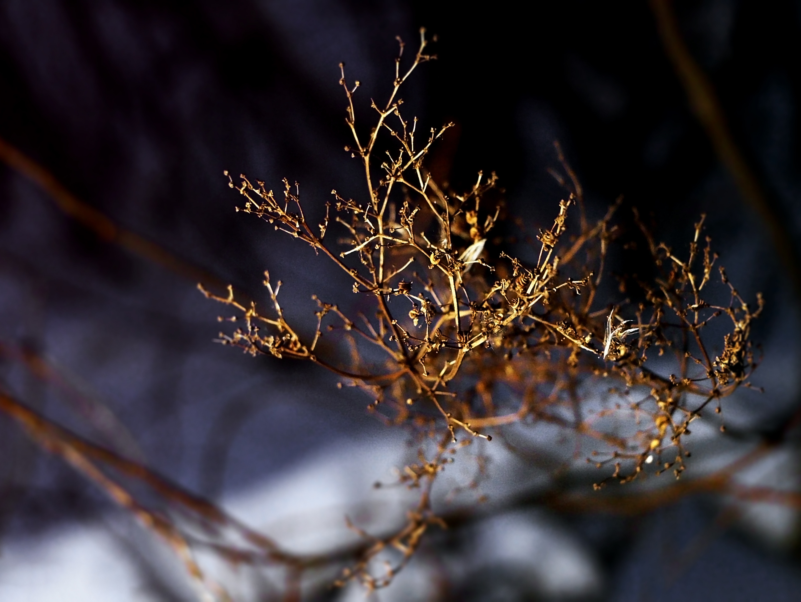 Ночной городской парк