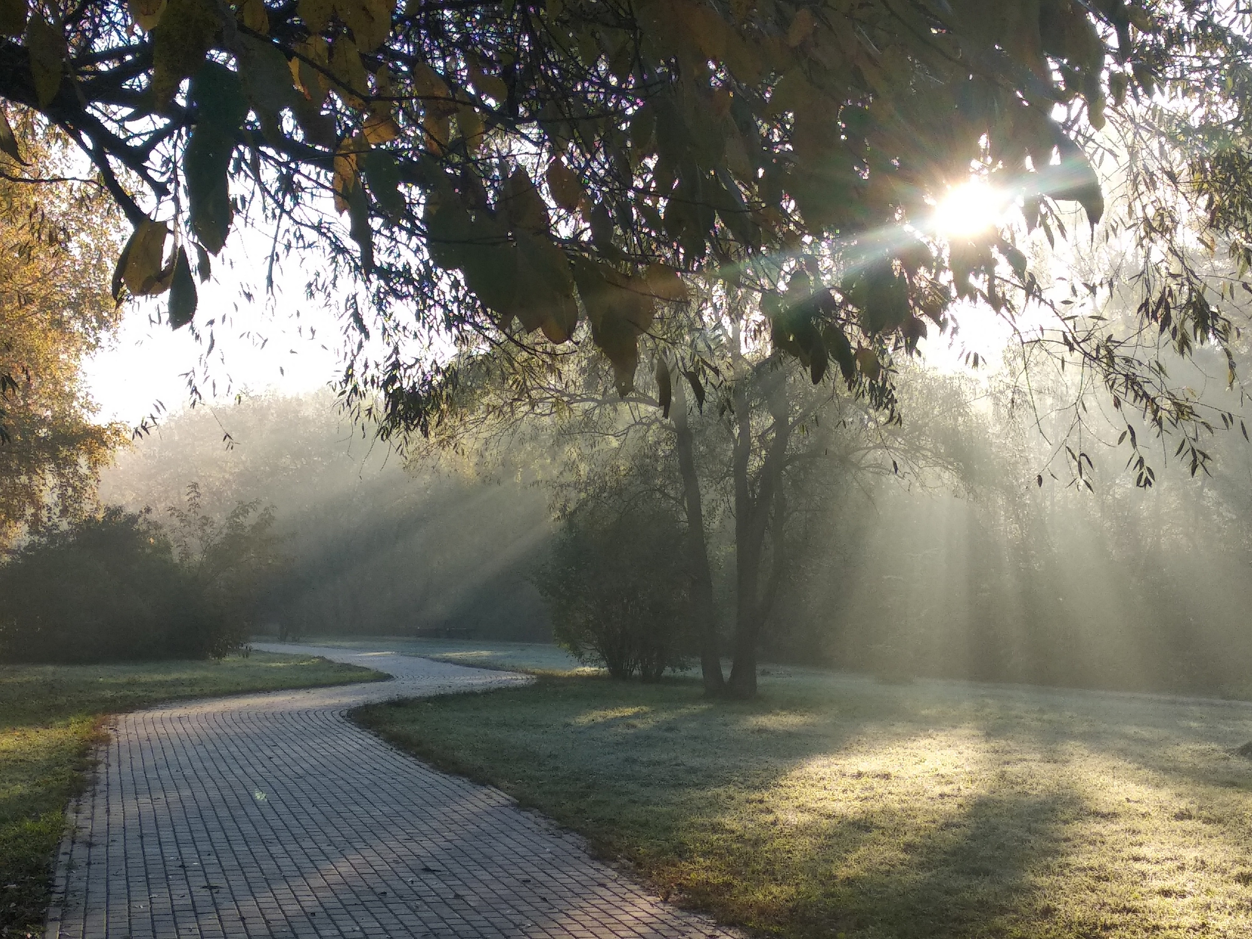 Чудесная природа. Школьные выпускные альбомы в Москве Марина Николаева