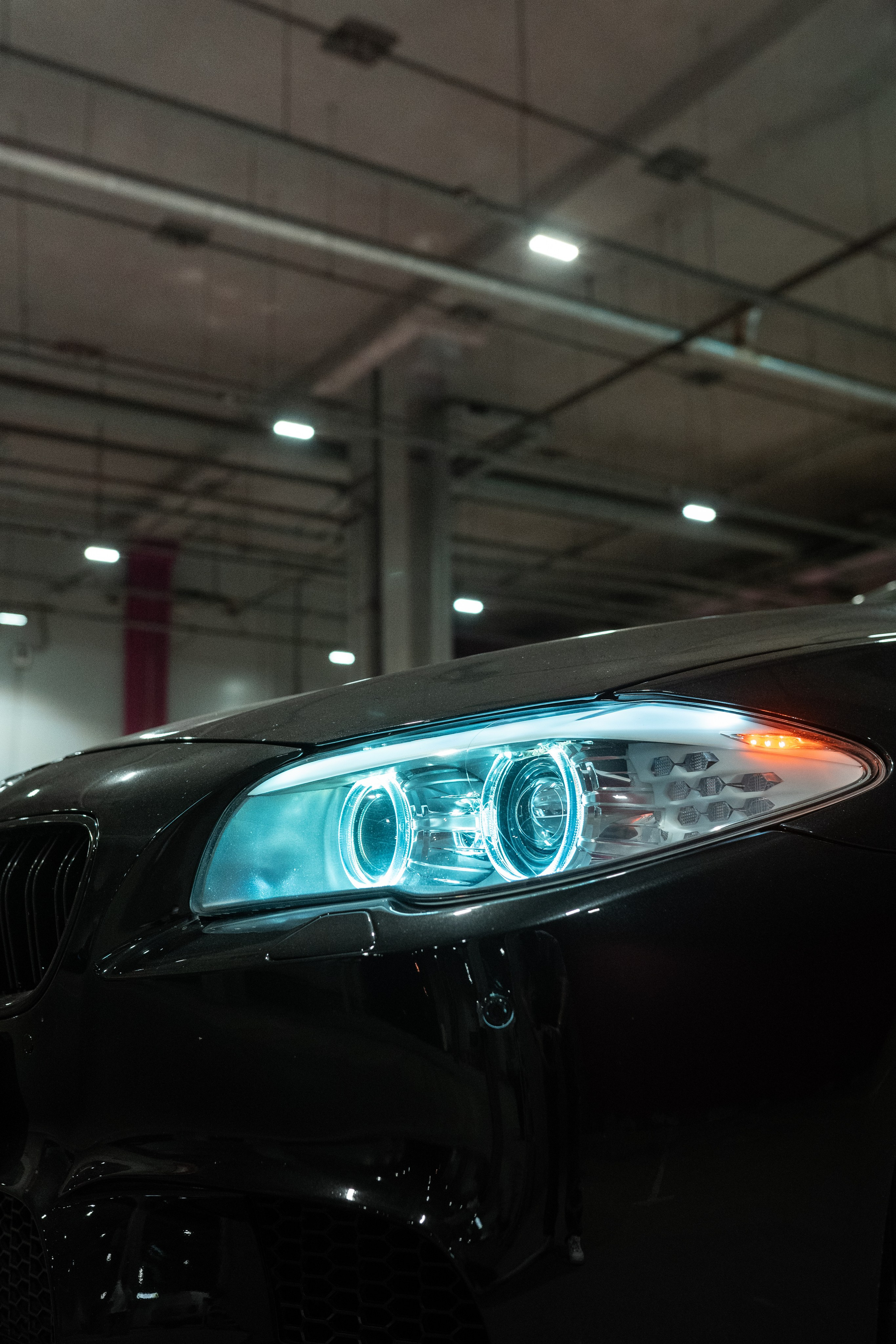 DOWNFLY | 13.07.2024. Mirllaev