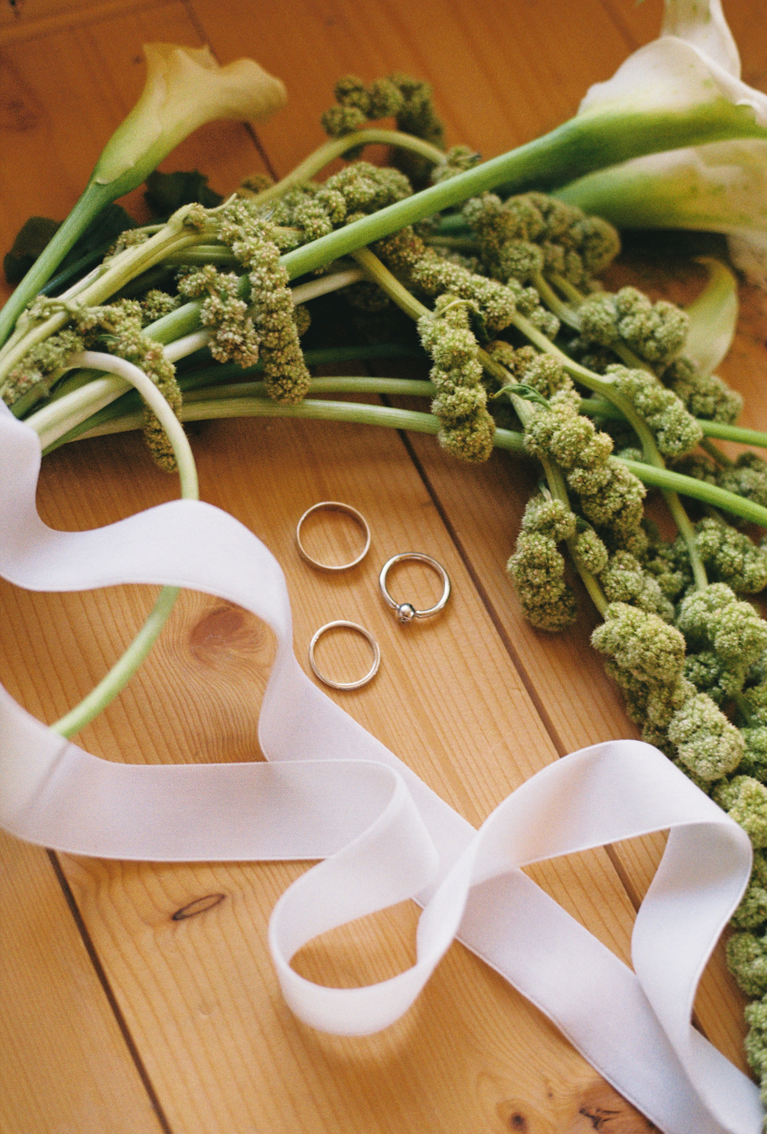 ЁЖ И МЫШ. Свадебный фотограф Анна Чащухина