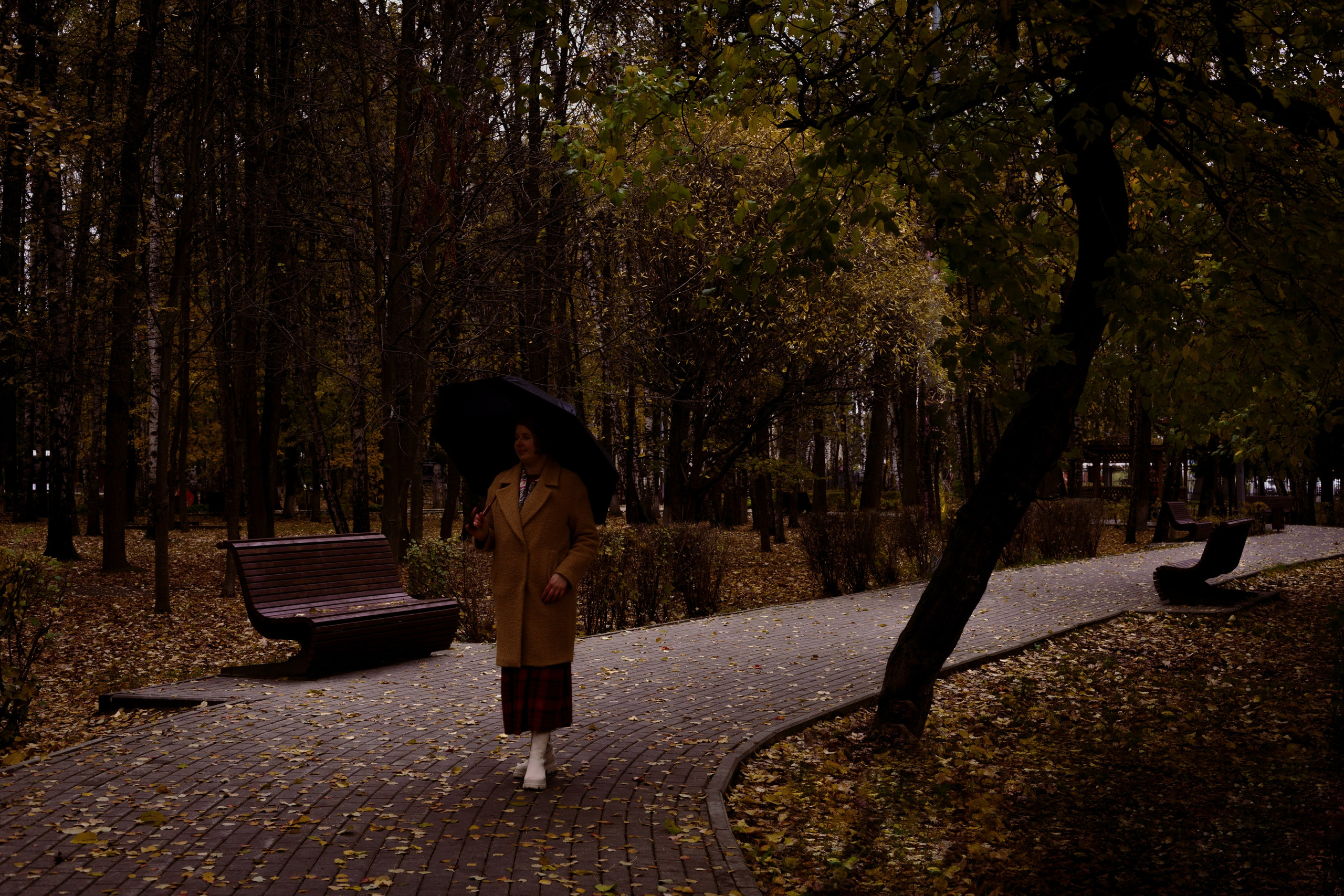 Ностальгия. Ekaterina Beridze