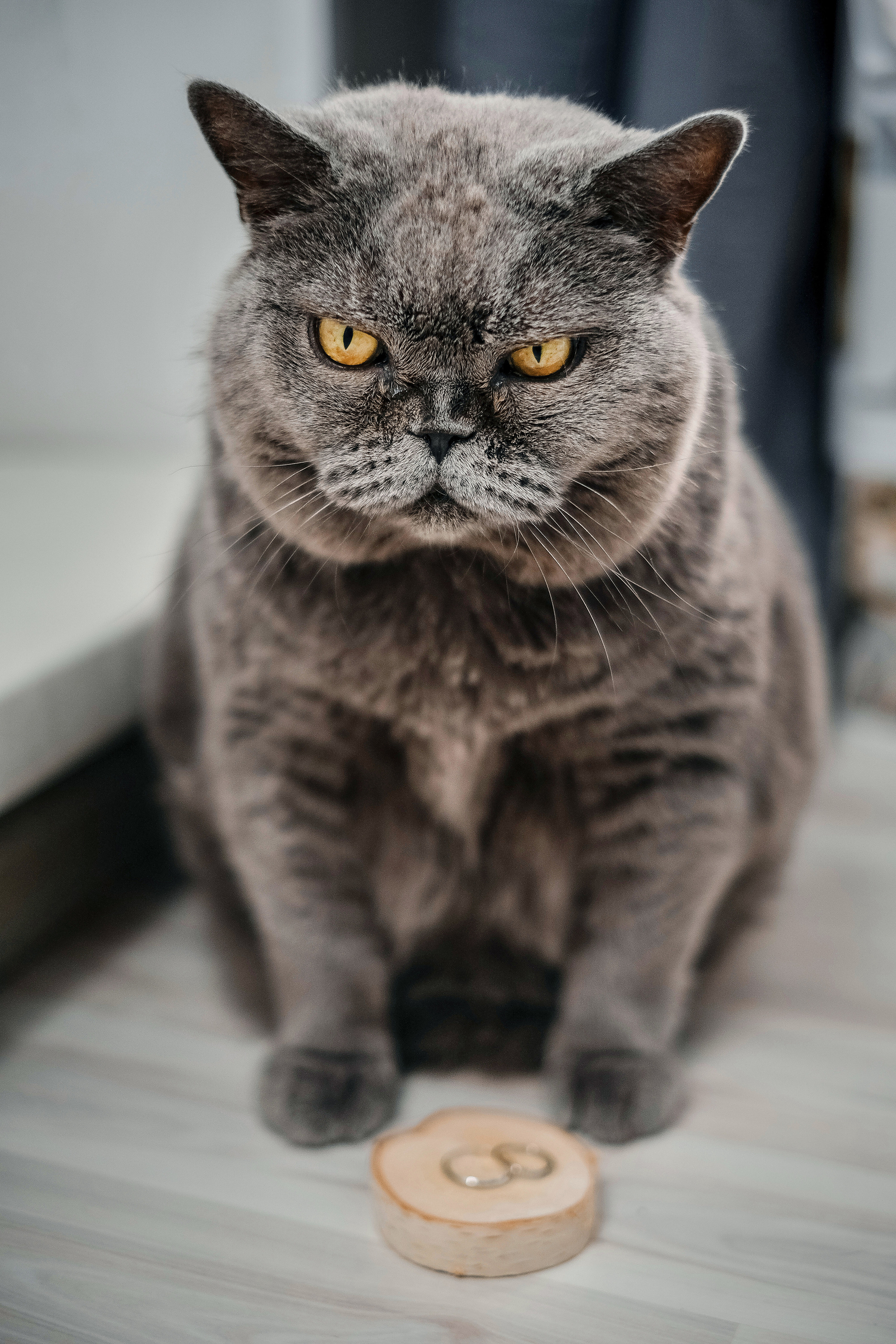 Евгения и Данил. Профессиональный фотограф Барнаул Анастасия Фримал