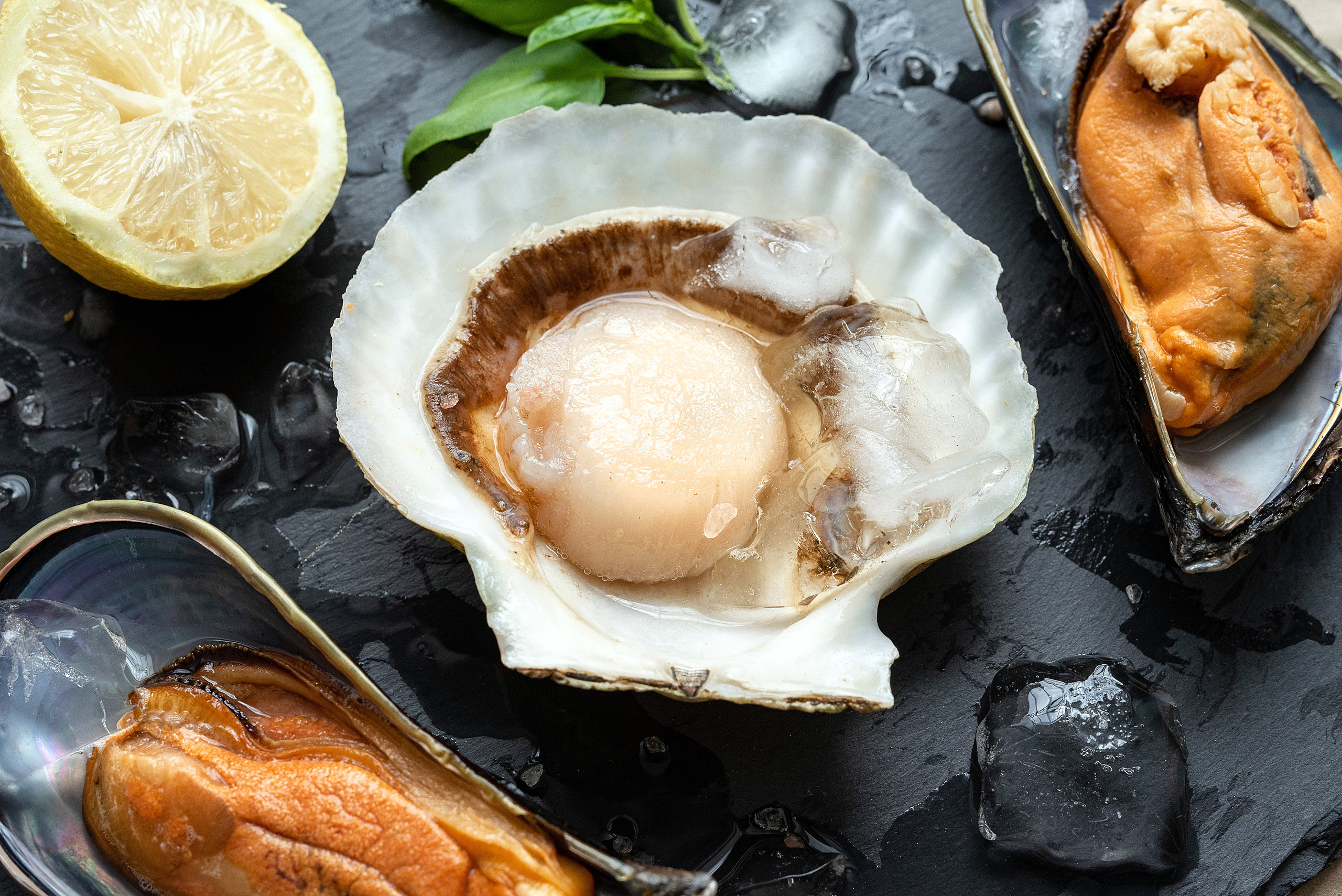 Для бизнеса. Профессиональный фотограф Барнаул Анастасия Фримал