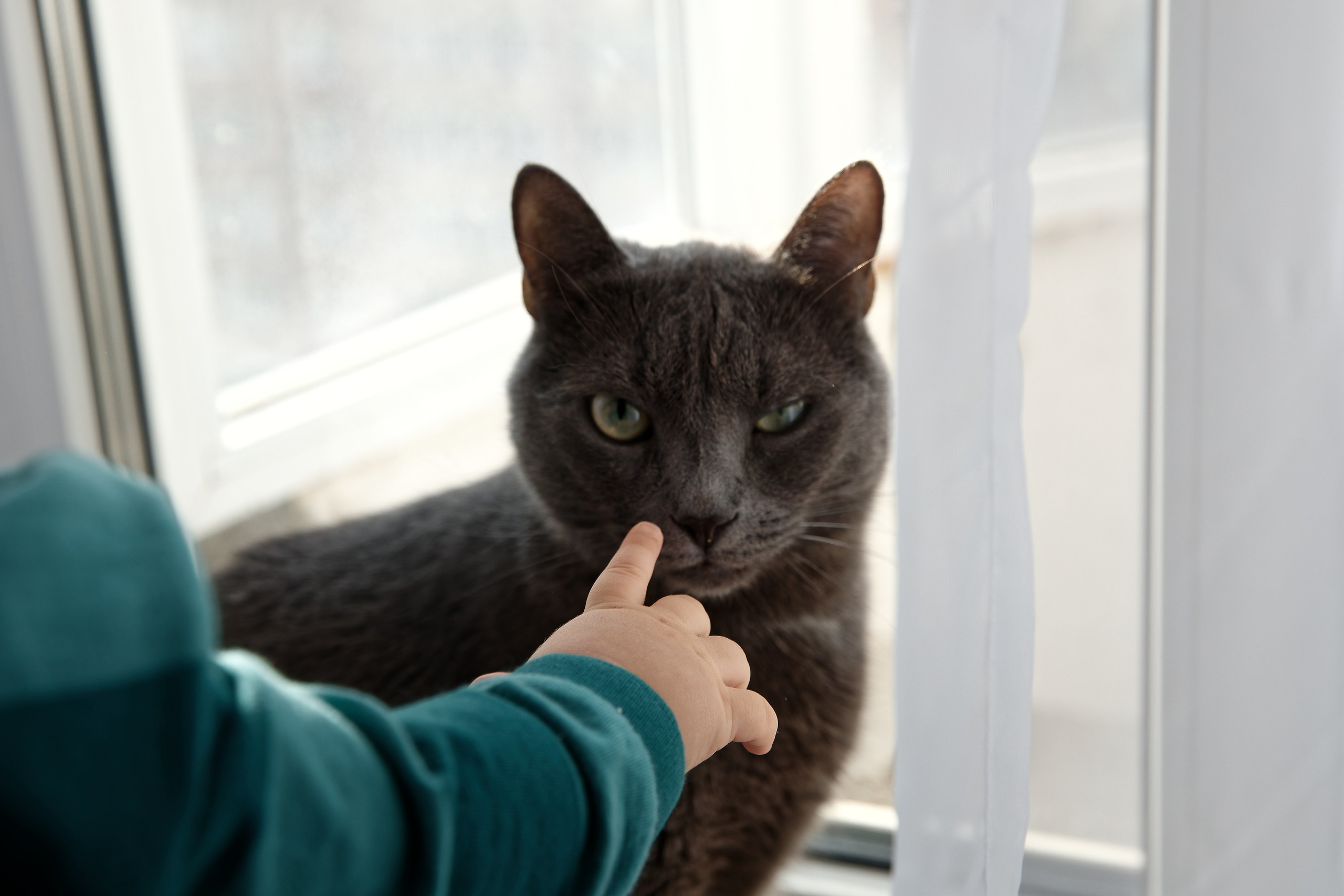 Семья Гуторовых. Семейный фотограф — Макс Белогрудов