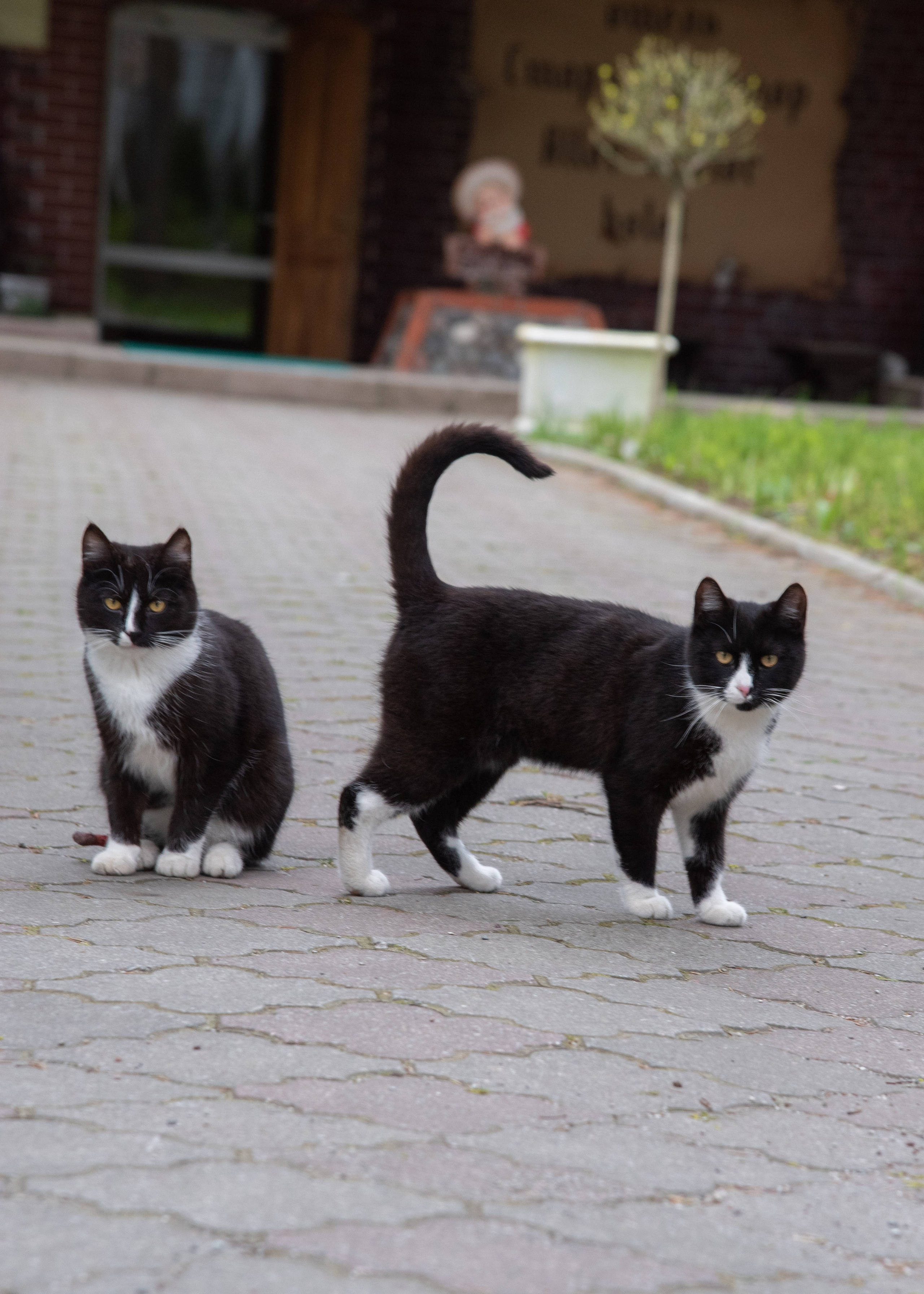 Калининград, Светлогорск. Фотограф Юлия Зимина