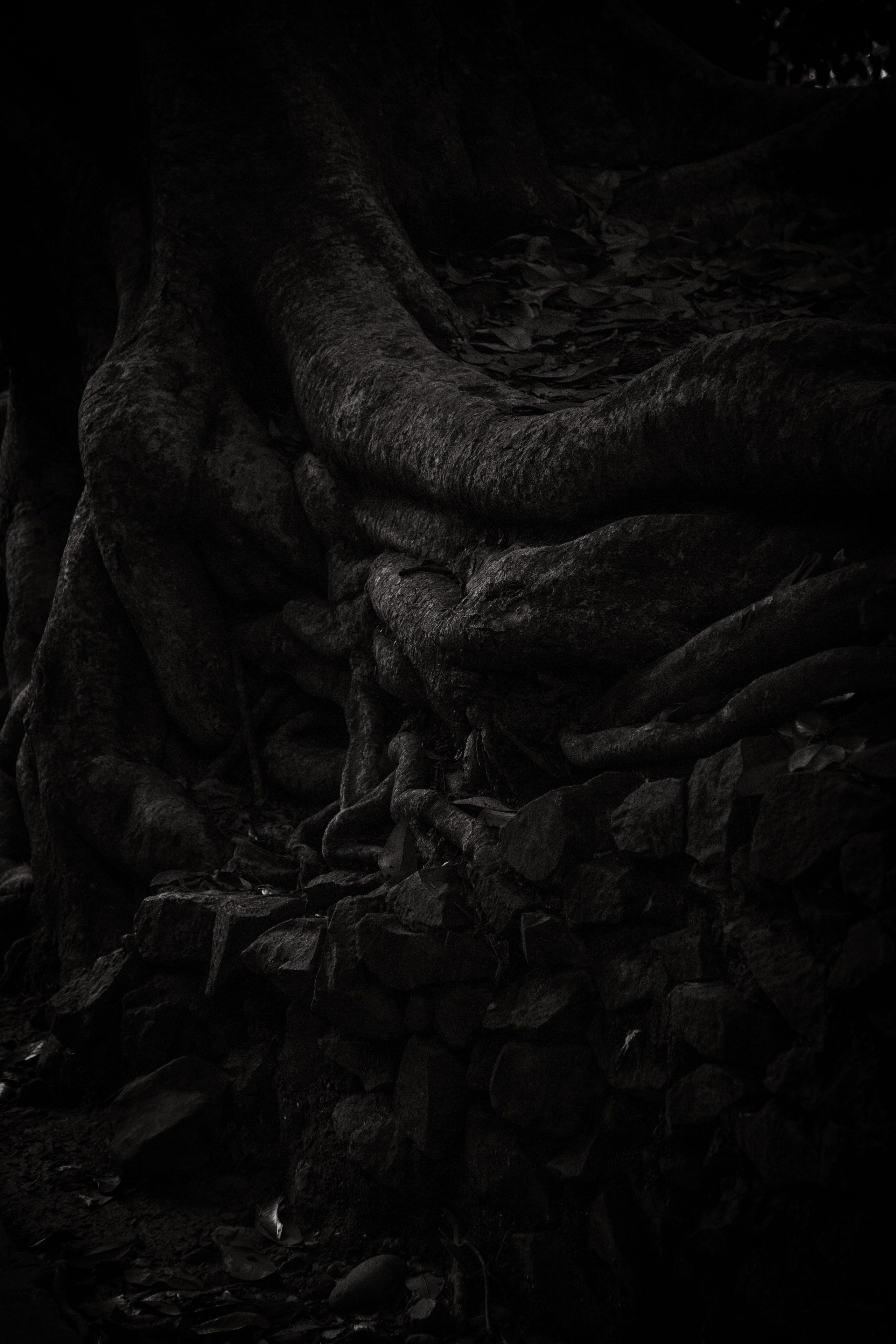 Batumi. Dmitriy [KCCC] is a pretty cool photographer