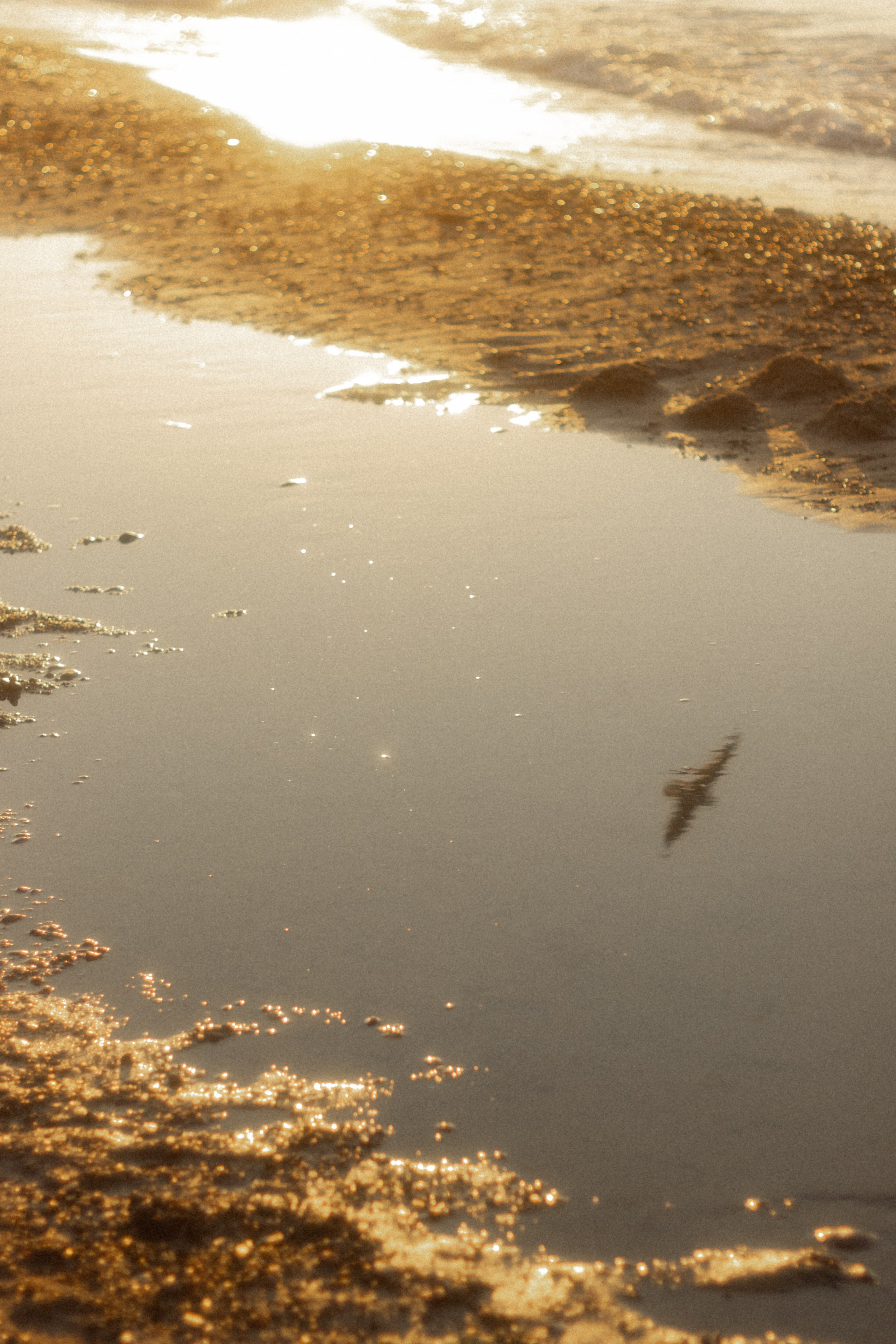Фотосессия в Зеленоградске. Портретный фотограф в Калининграде Рита Холодова