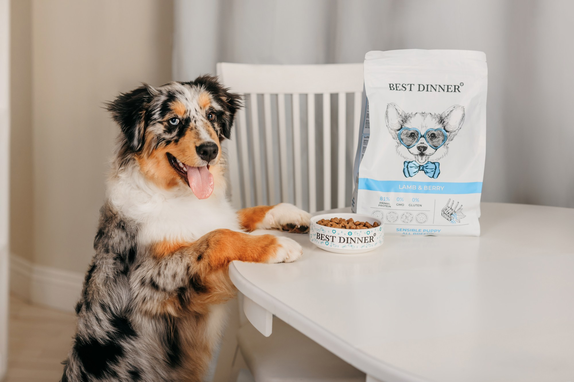 Корма Best Dinner. Фотограф-анималист Елена Радченко, Москва