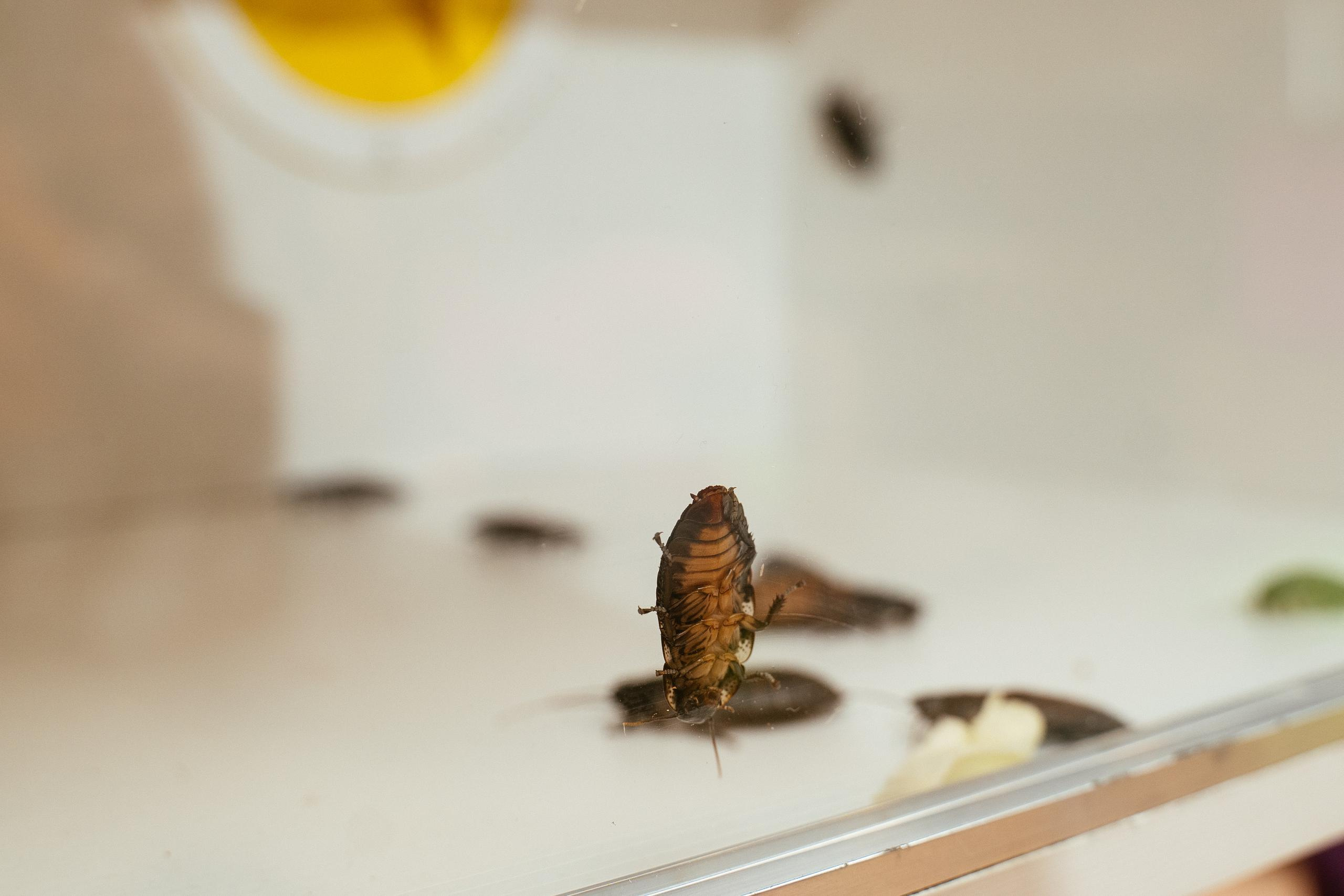 Пижамная вечеринка и нащупай-шоу. Выпускные альбомы для детского сада и школы в Красноярске Мария Русяев