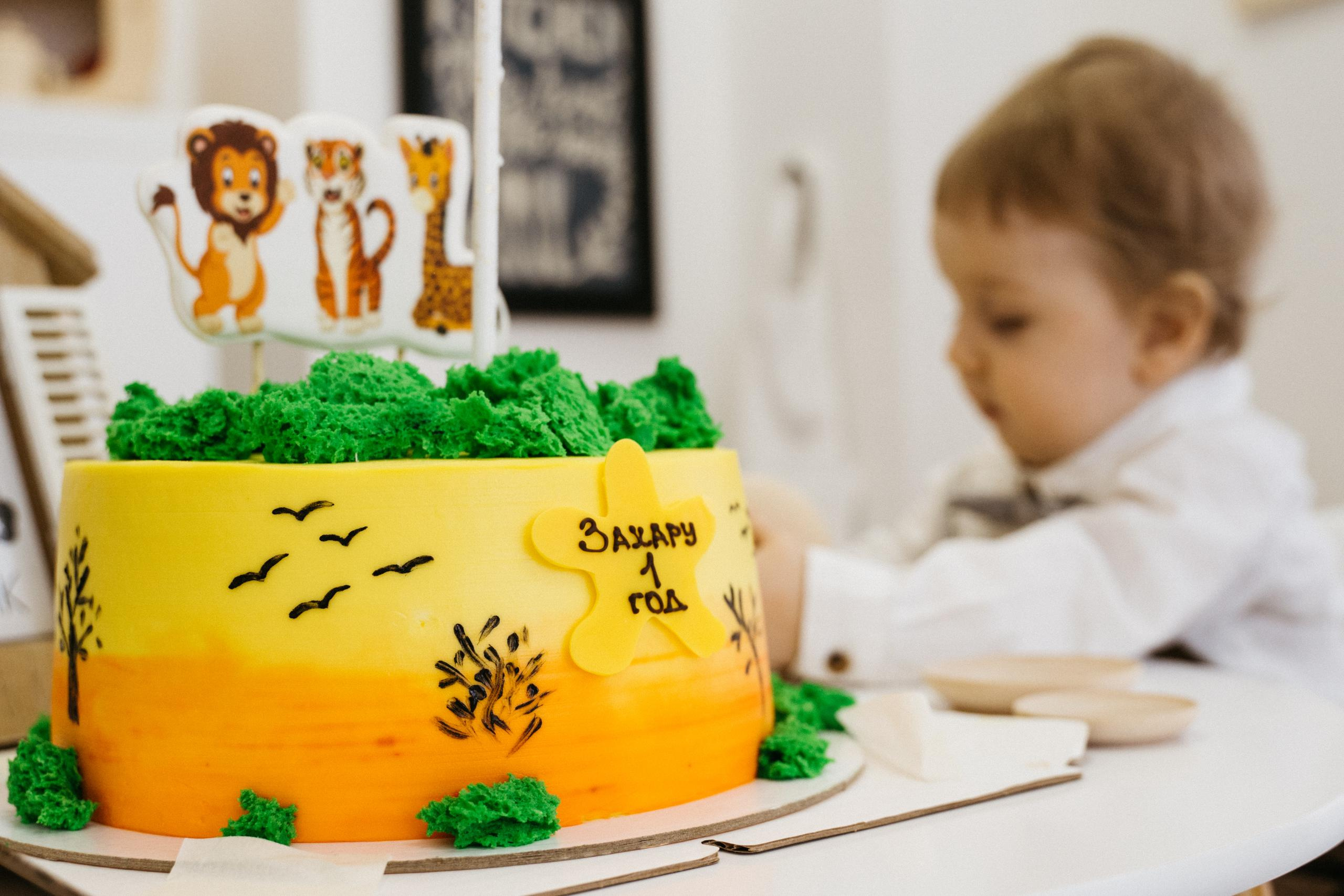 Захару 1 годик. Выпускные альбомы для детского сада и школы в Красноярске Мария Русяев